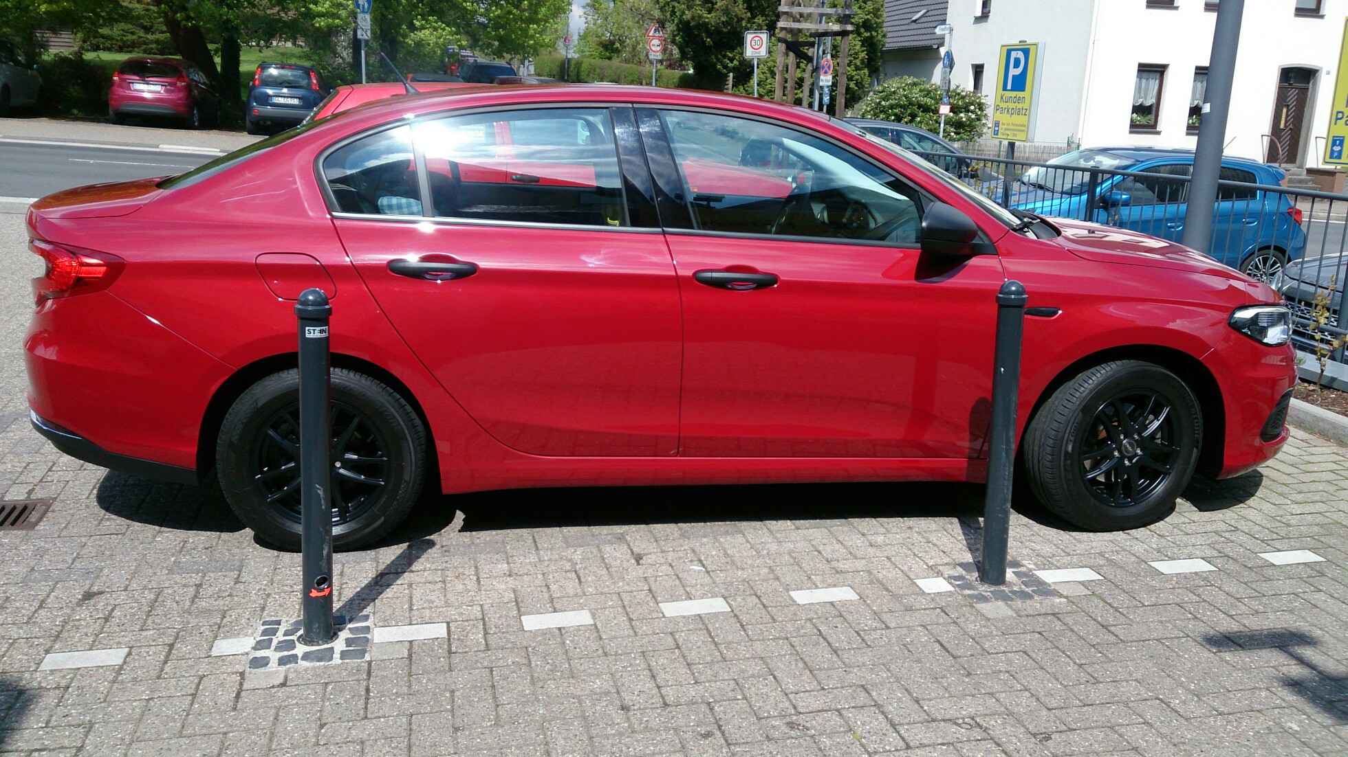 Rot-/Schwarzes Rennpferd