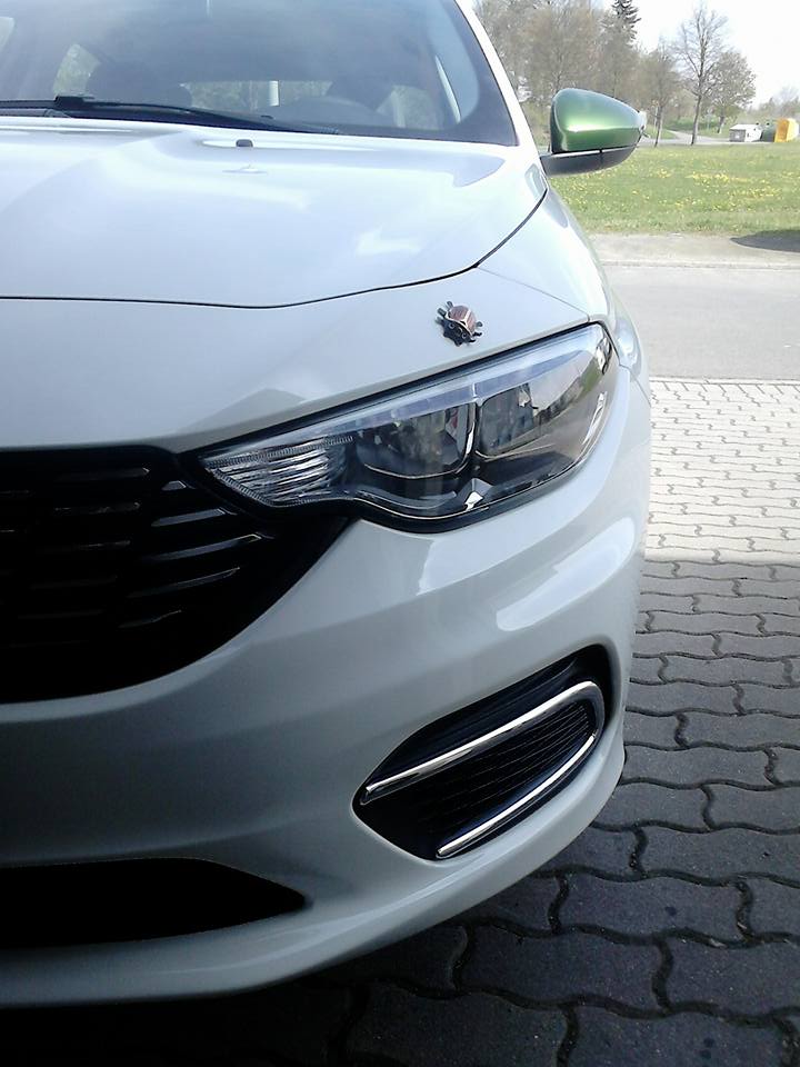 Maikäfer sind Chrom-Fetischisten! ;)