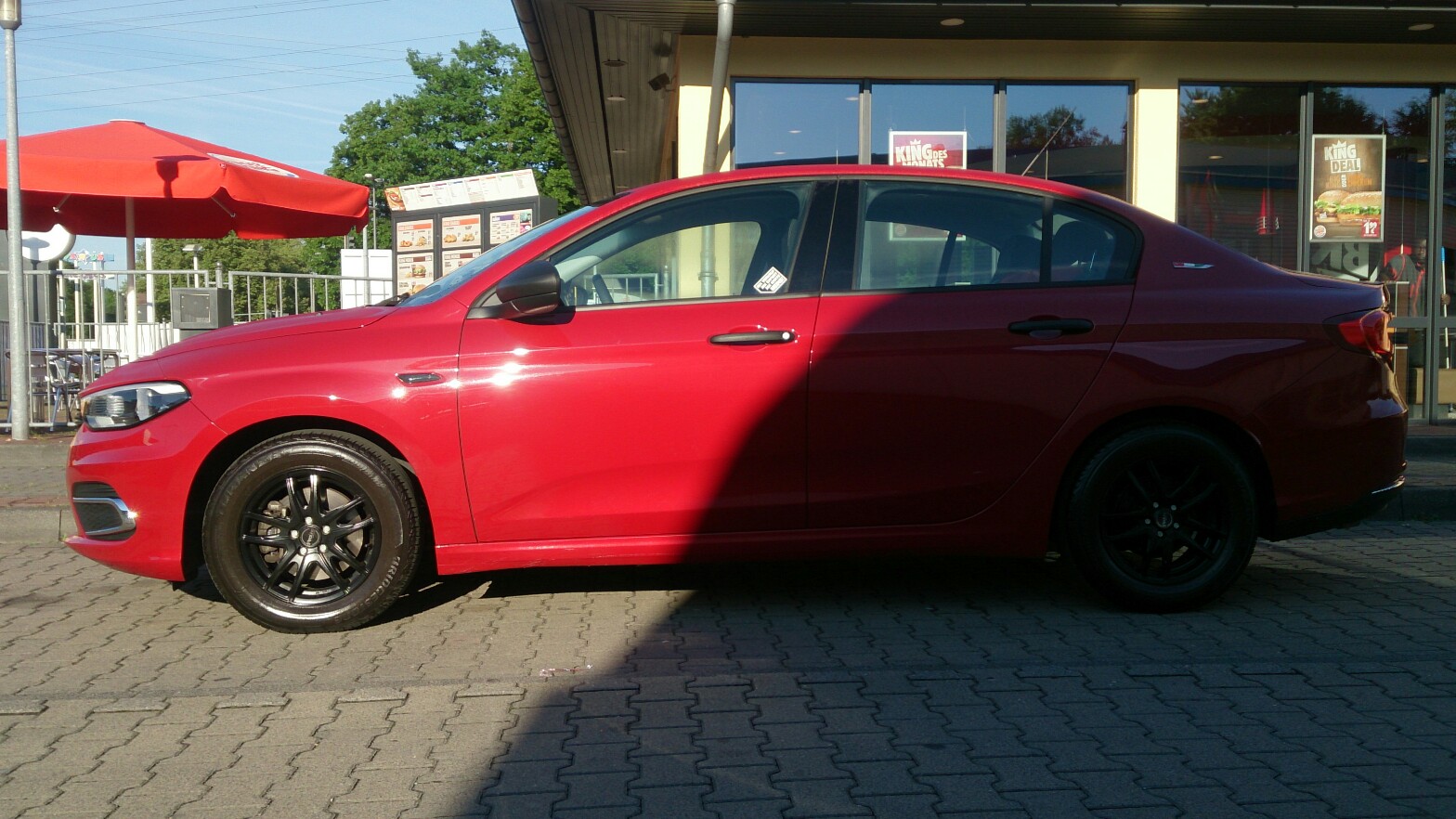 Halbschattengewächs