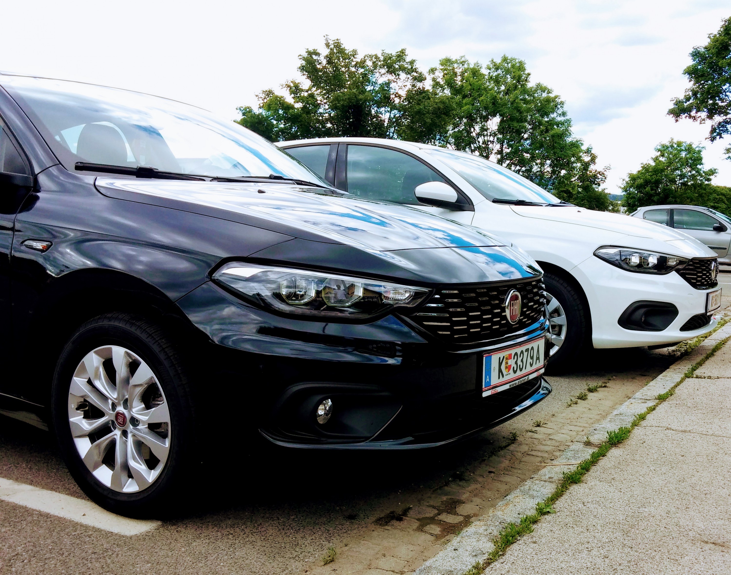 Die Tipo's nach der Wäsche .......