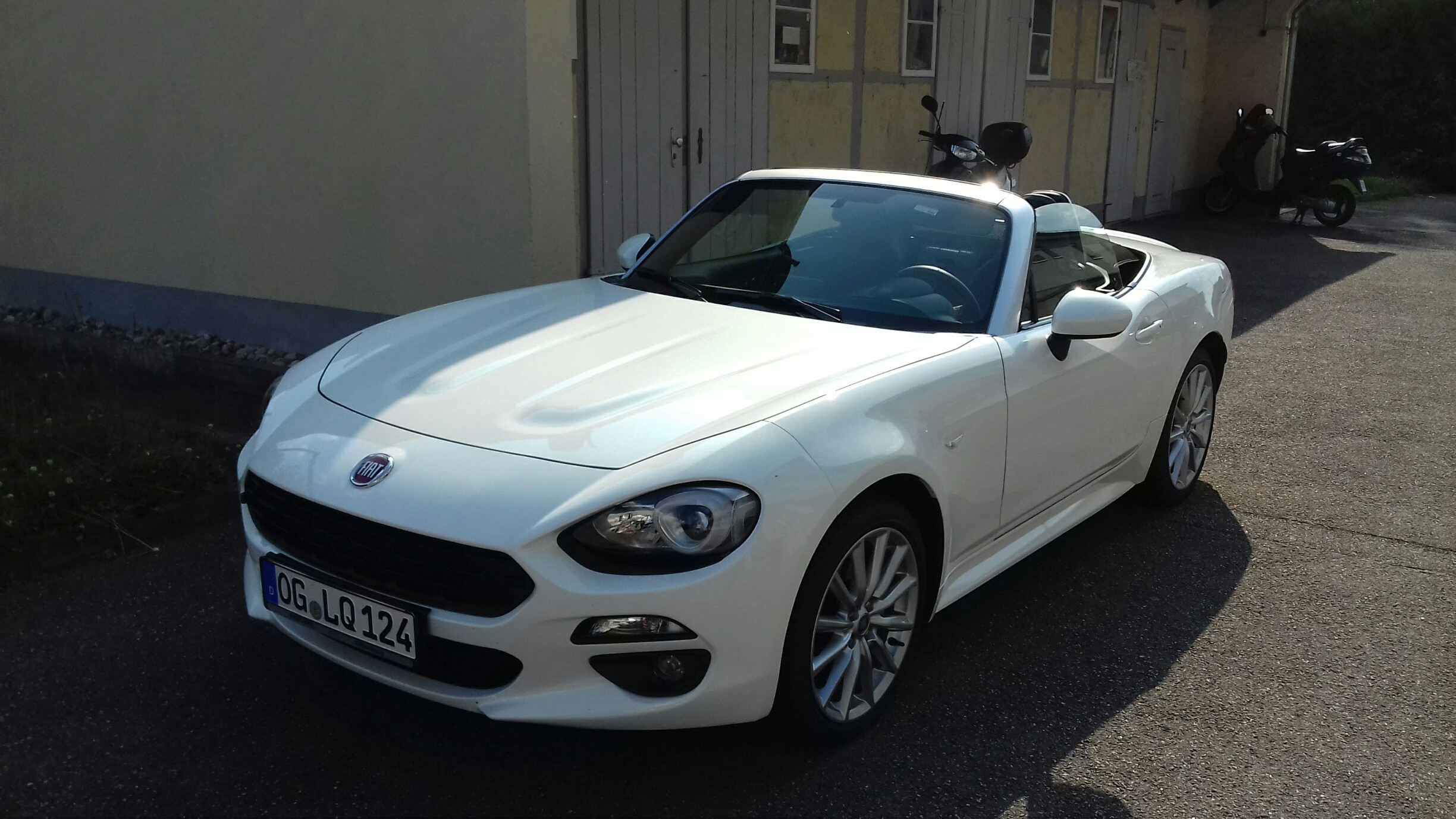 Lange Schnauze viel dahinter