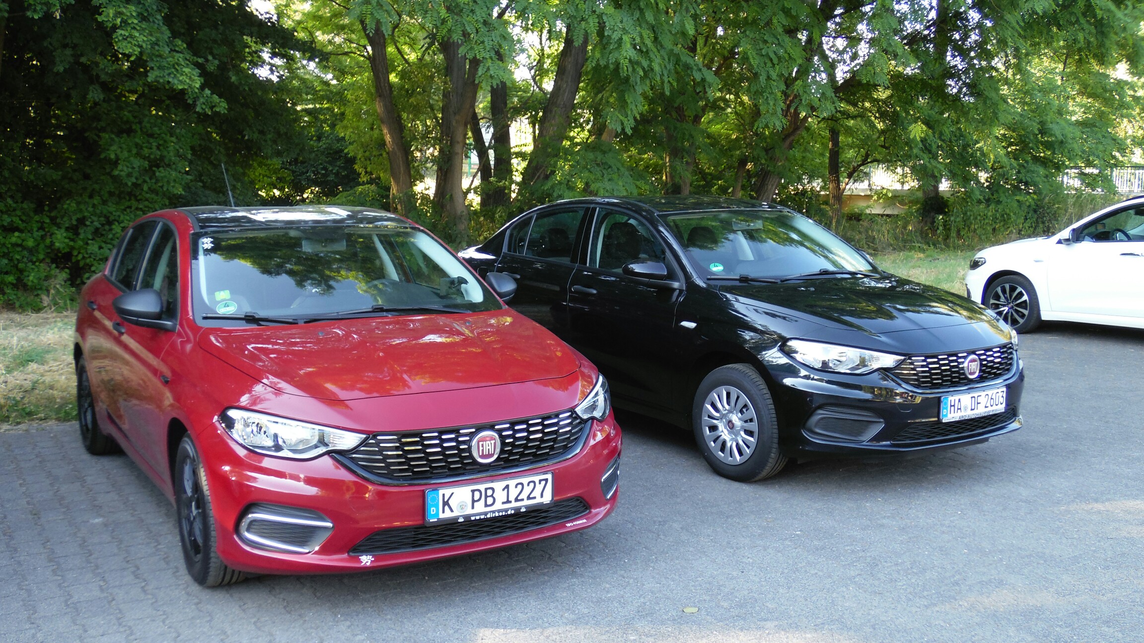 Mahatmared and black