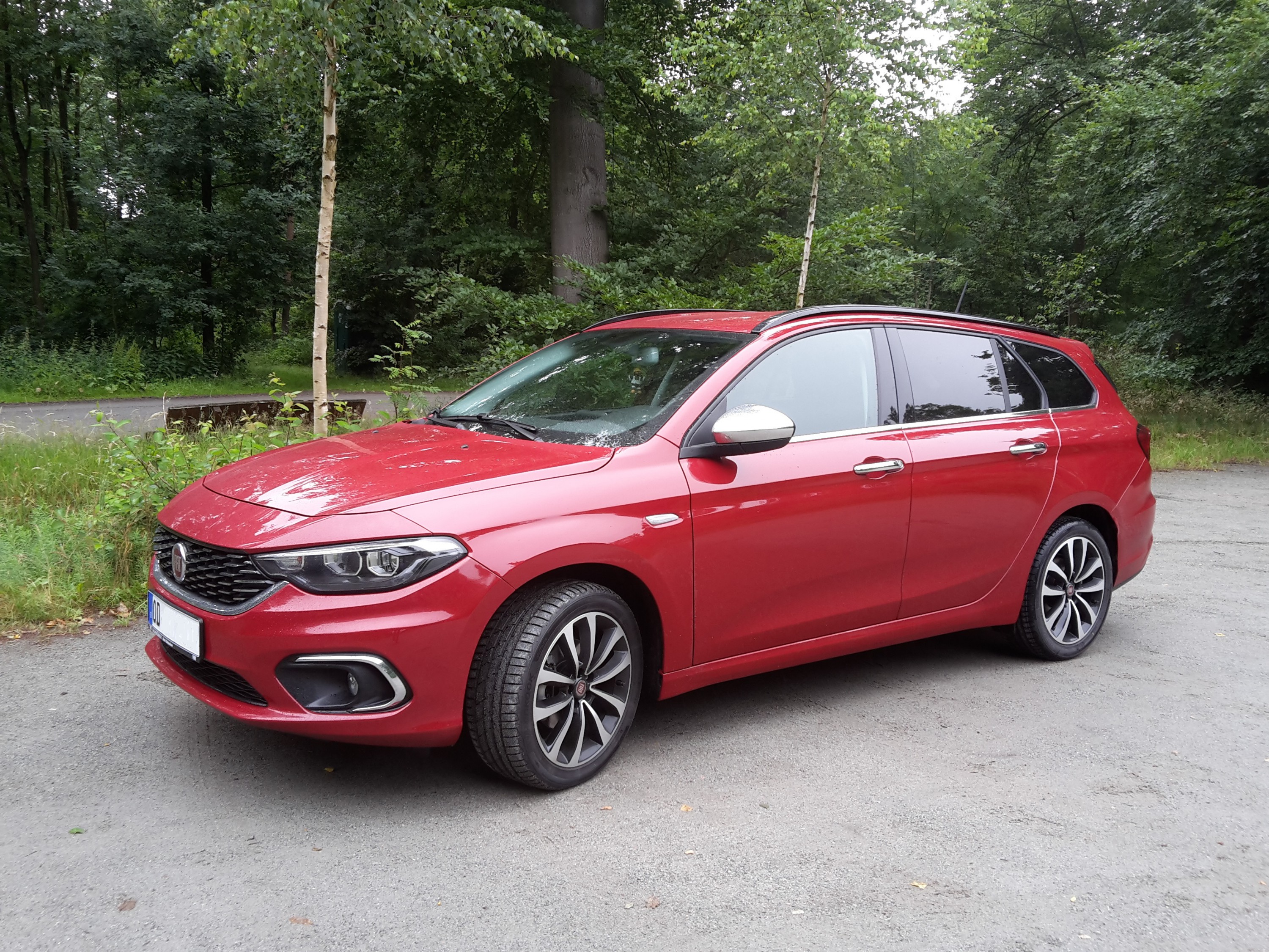 Ein neuer Tipo in freier Wildbahn...