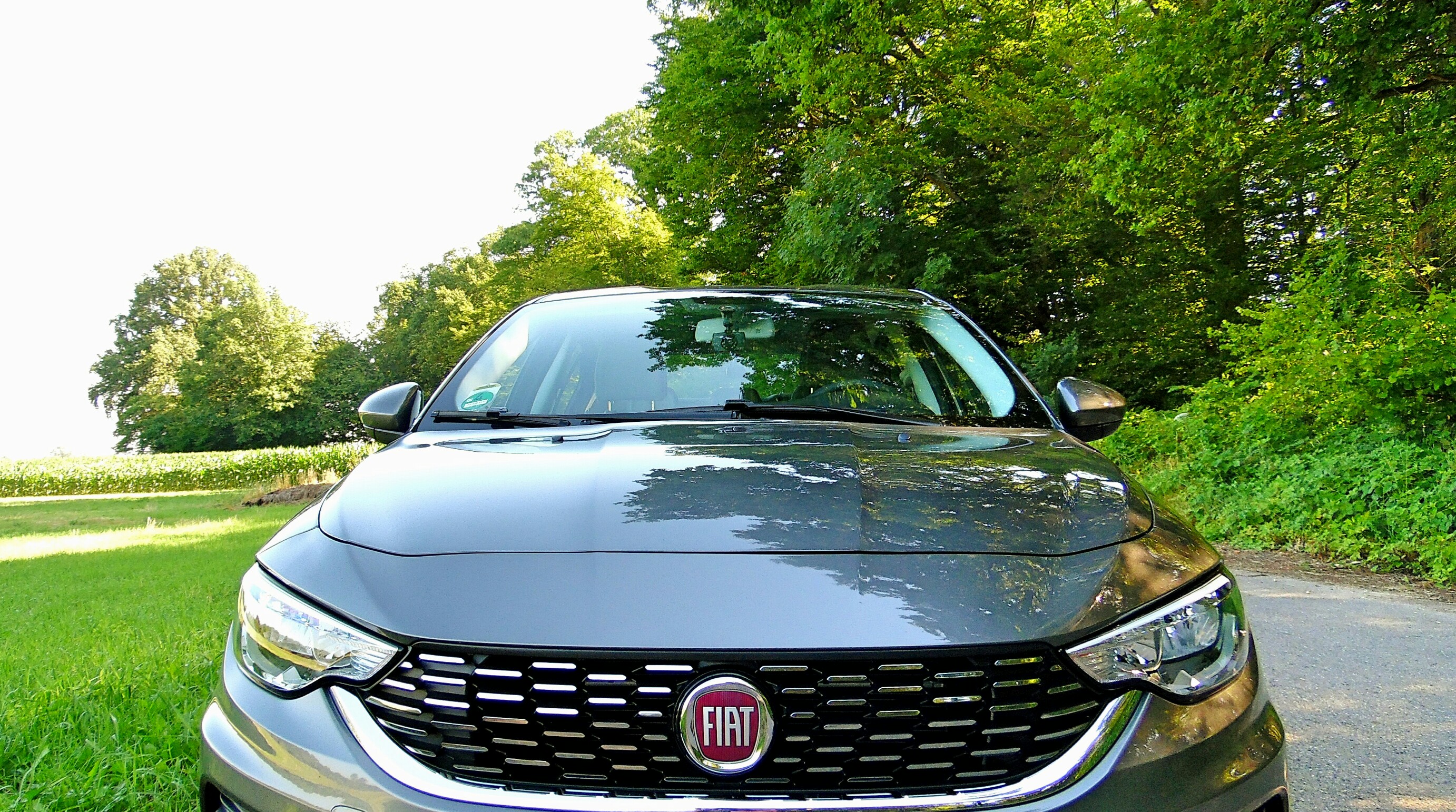 Mein Tipo Fotostrecke 05.07.2017