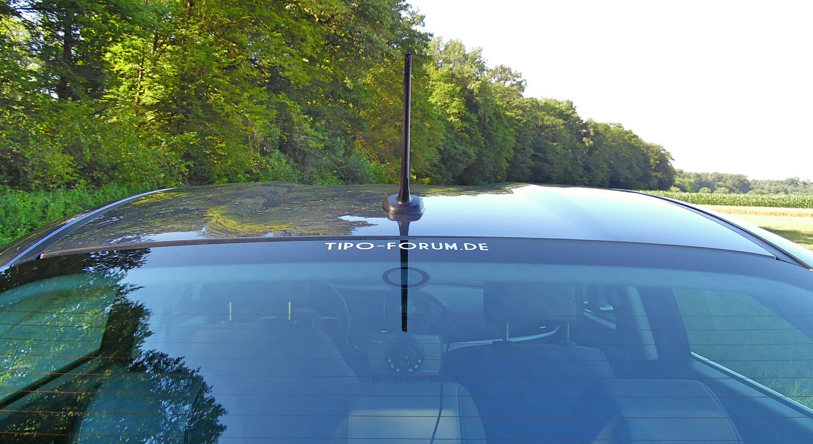 Mein Tipo Fotostrecke 05.07.2017