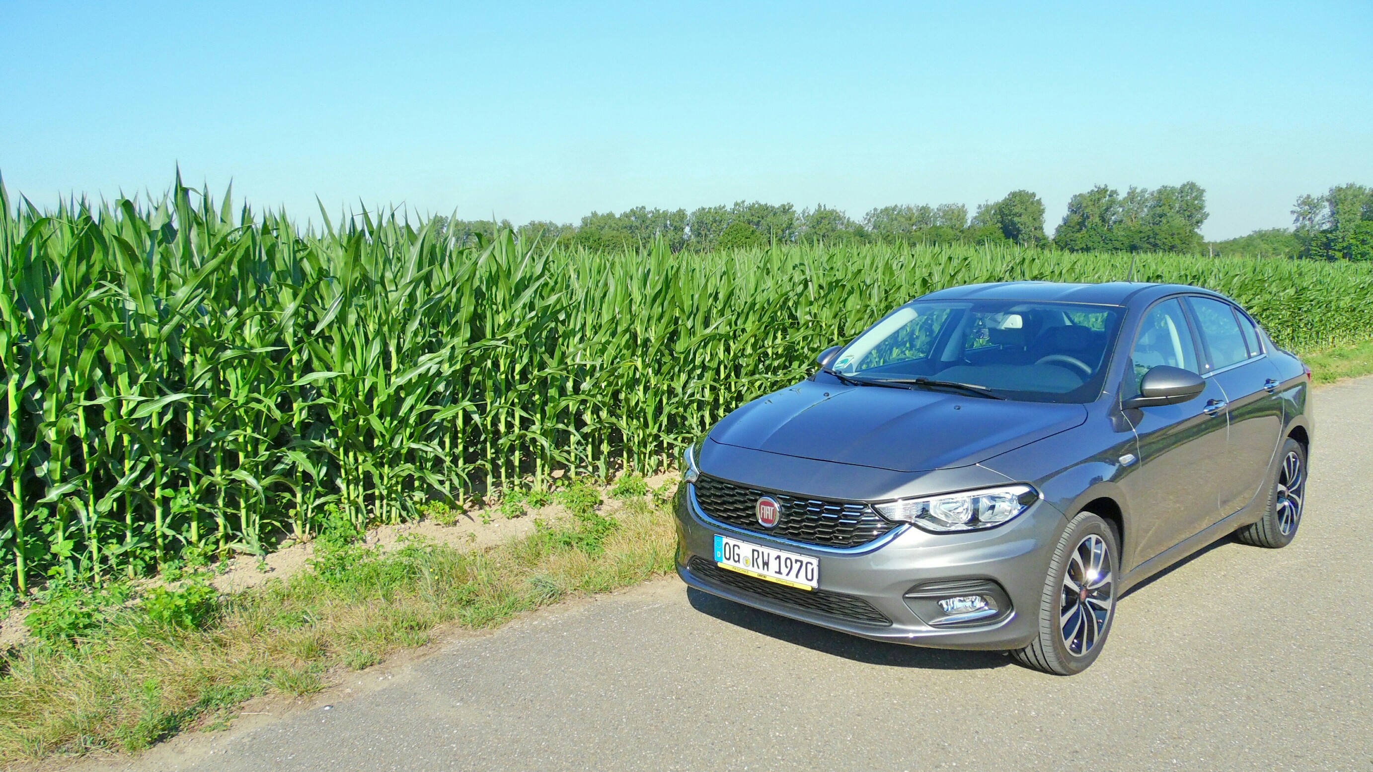 Mein Tipo Fotostrecke 05.07.2017