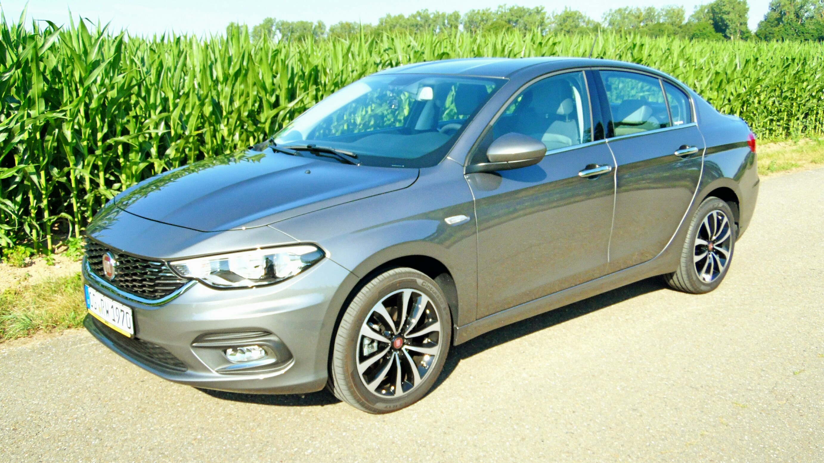 Mein Tipo Fotostrecke 05.07.2017