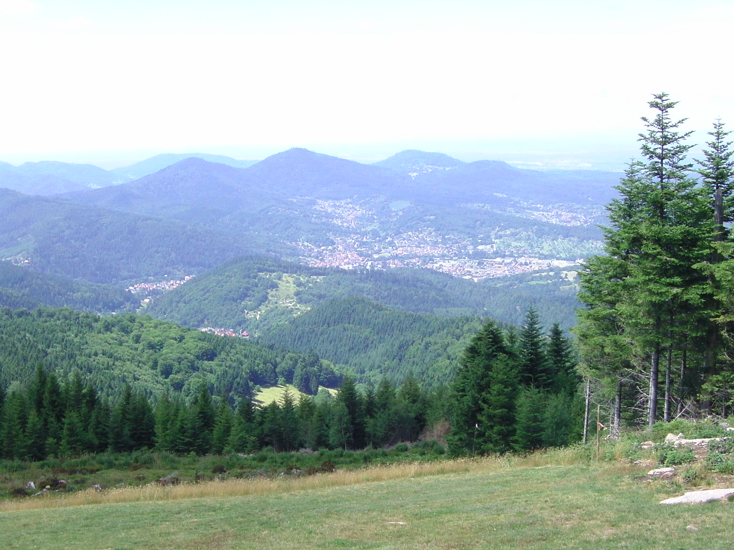 Nordschwarzwaldimpressionen...Kaltenbronn/Teufelsmühle/-turm