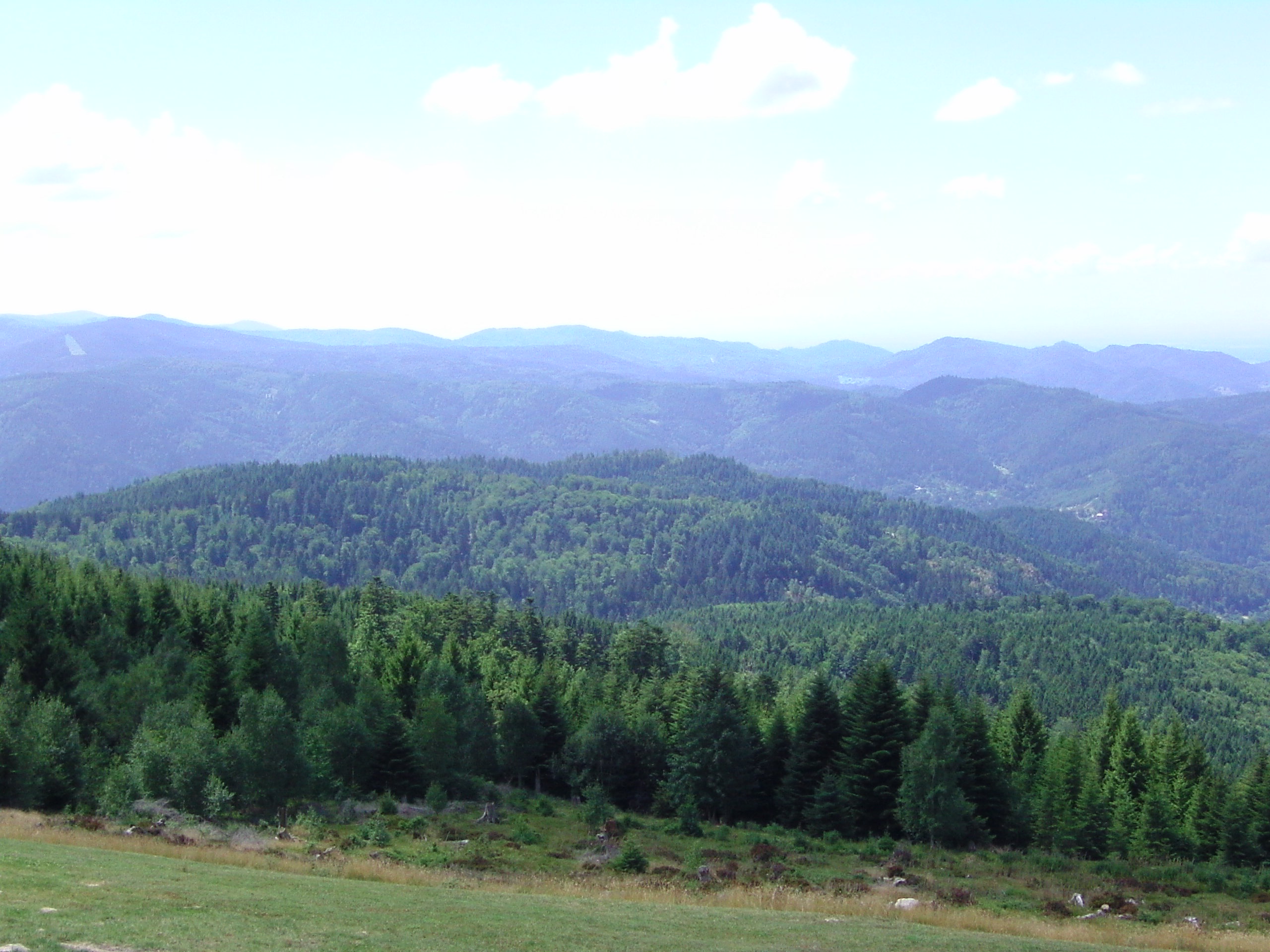 Nordschwarzwaldimpressionen...Kaltenbronn/Teufelsmühle/-turm