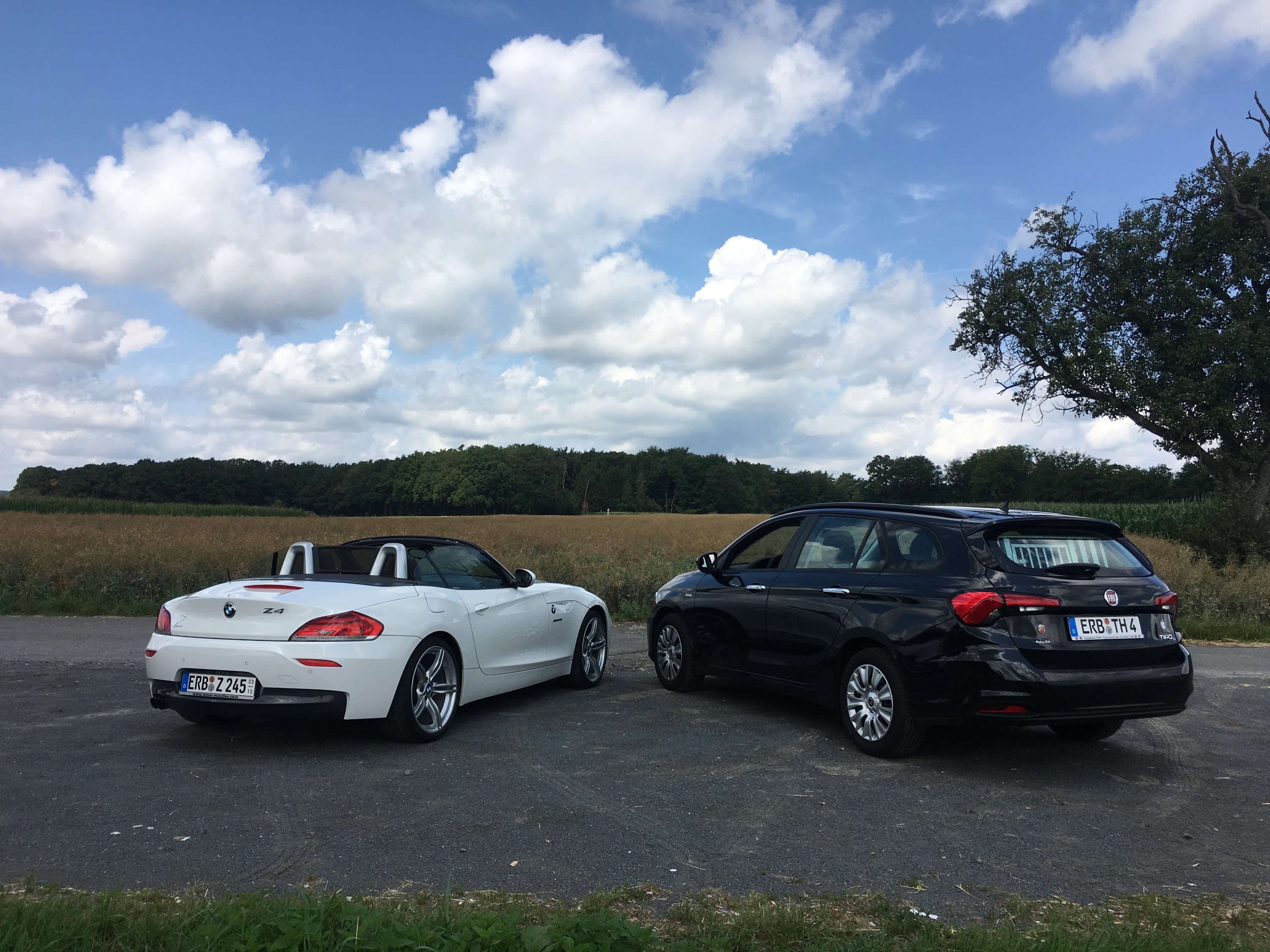 Rückansicht der Familie