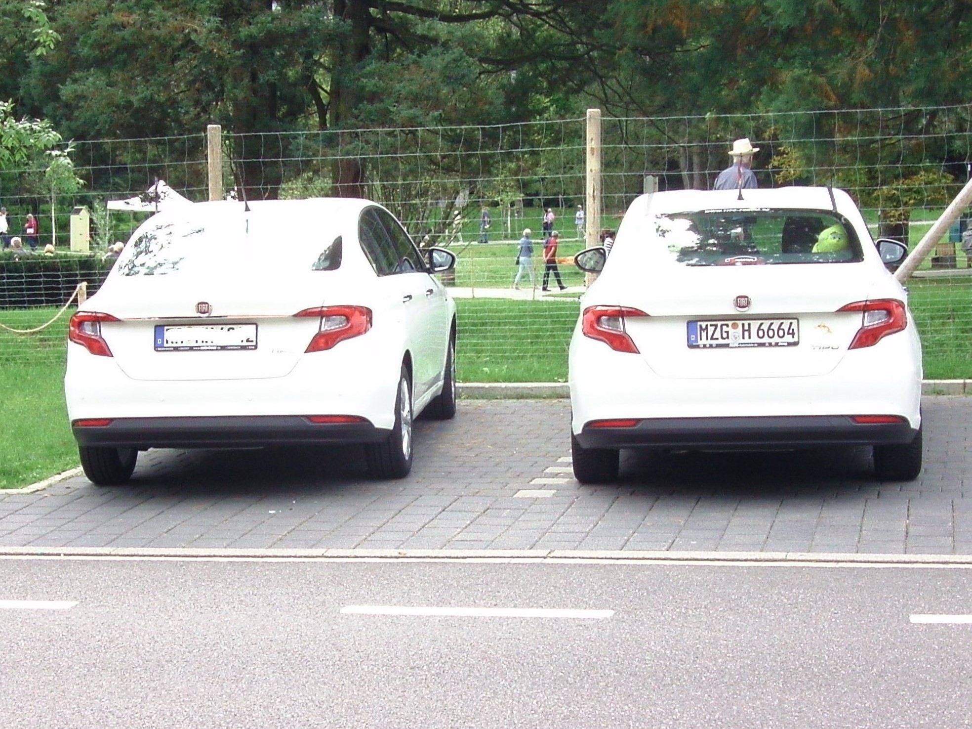 Luzzy hat ihren Zwillingsbruder gefunden...