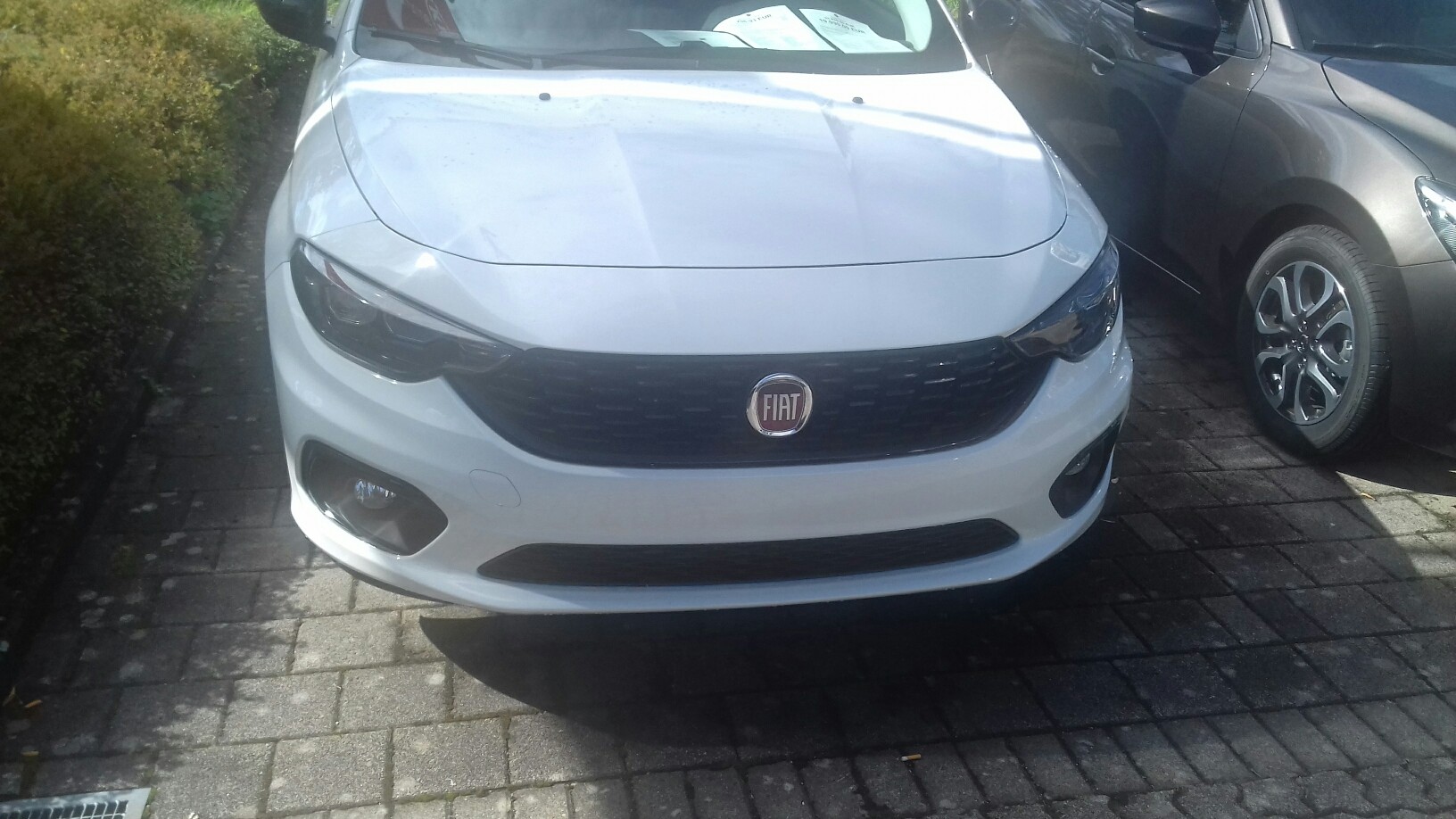 FIAT Tipo S Design