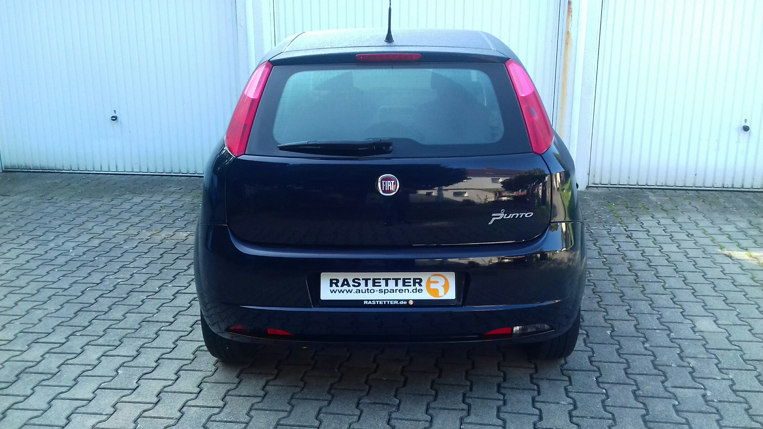 Neues Familienmitglid ☺