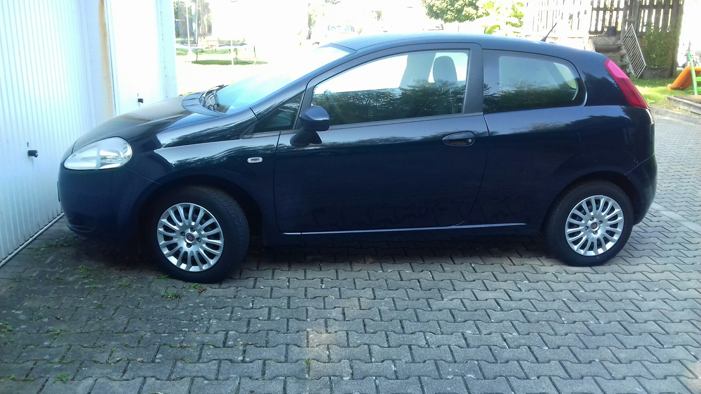 Neues Familienmitglid ☺