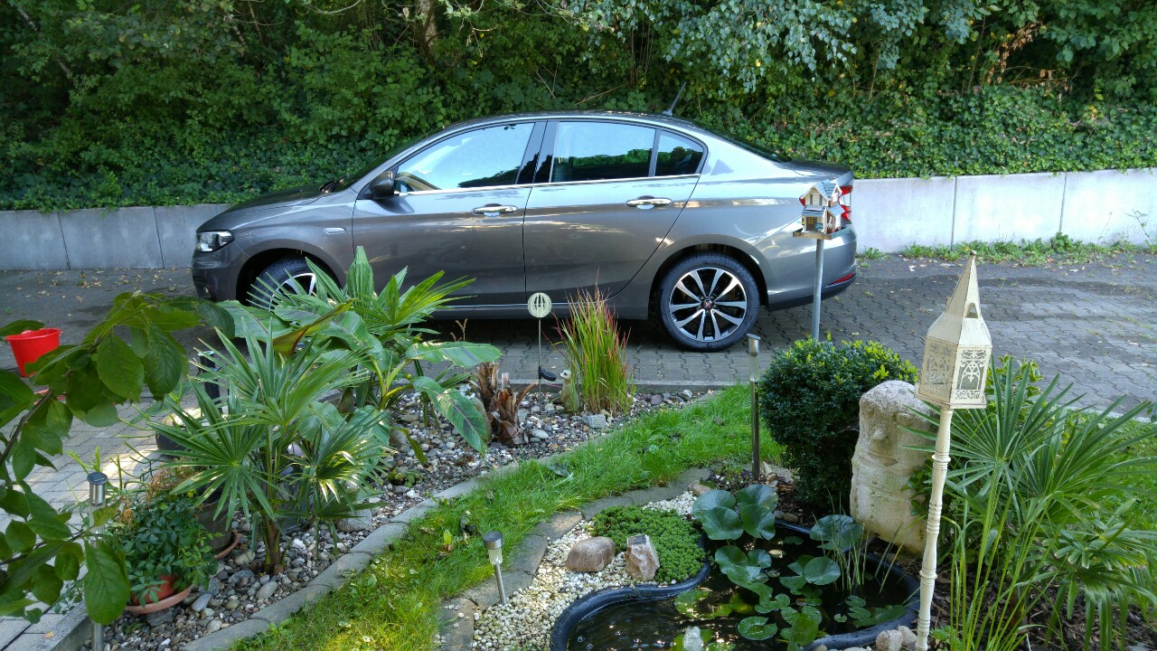 Nach dem Urlaub erst mal den Tipo waschen und föhnen.