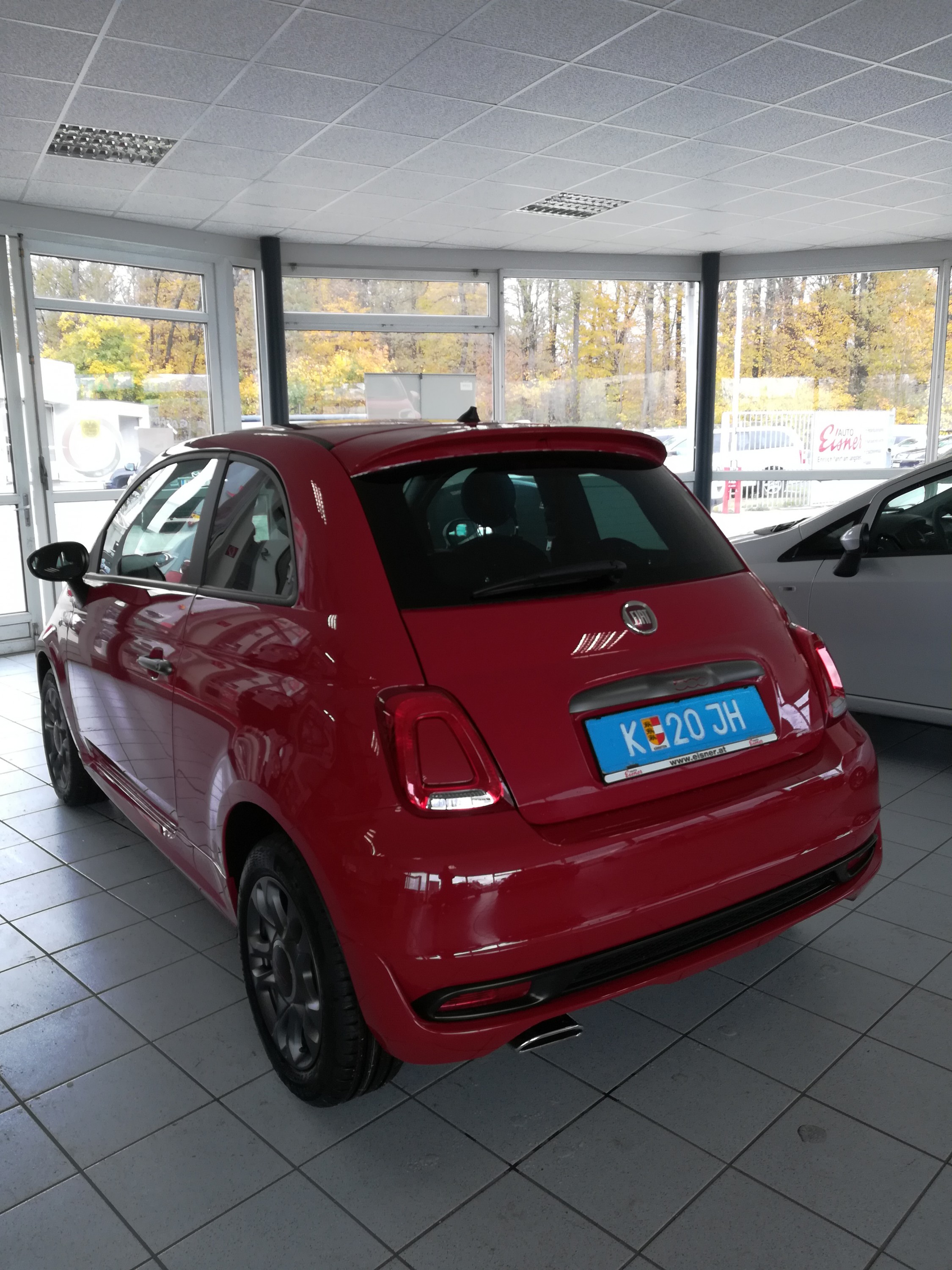 Luigi, unser neues Familienmitglied