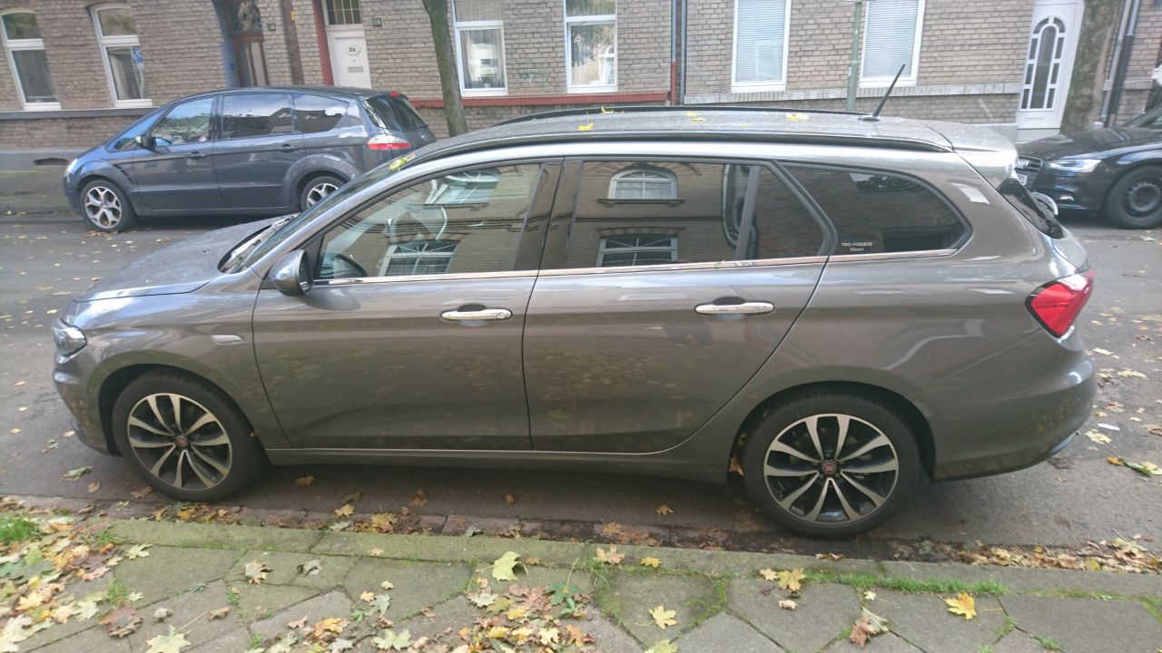 Tipo am Straßenrand.