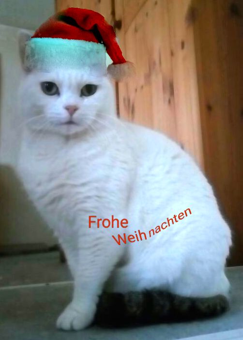 Ein schönes Weihnachtsfest.