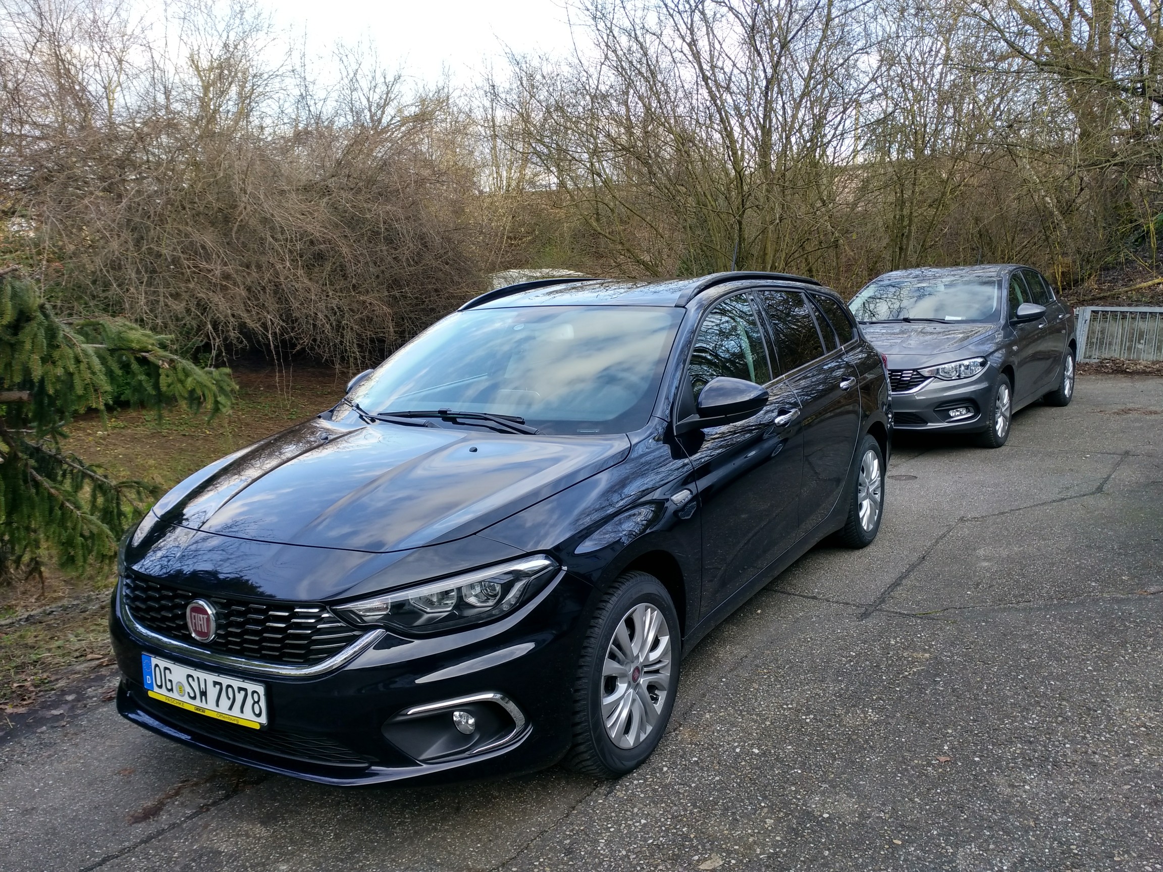 Wer hat hier die Nase vorn.....