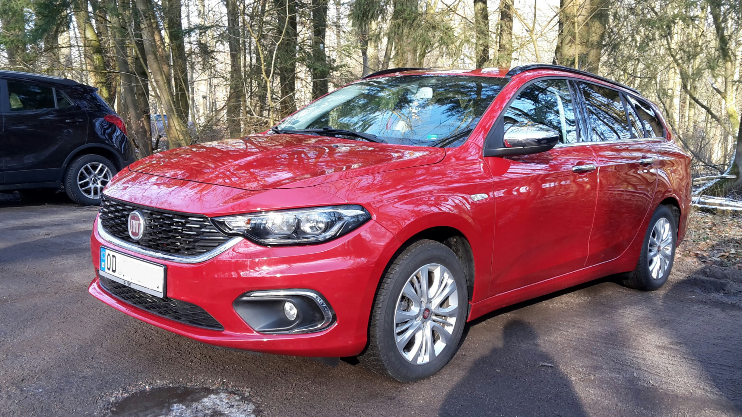 Ein Tipo steht im Walde in Rot und Chrom...