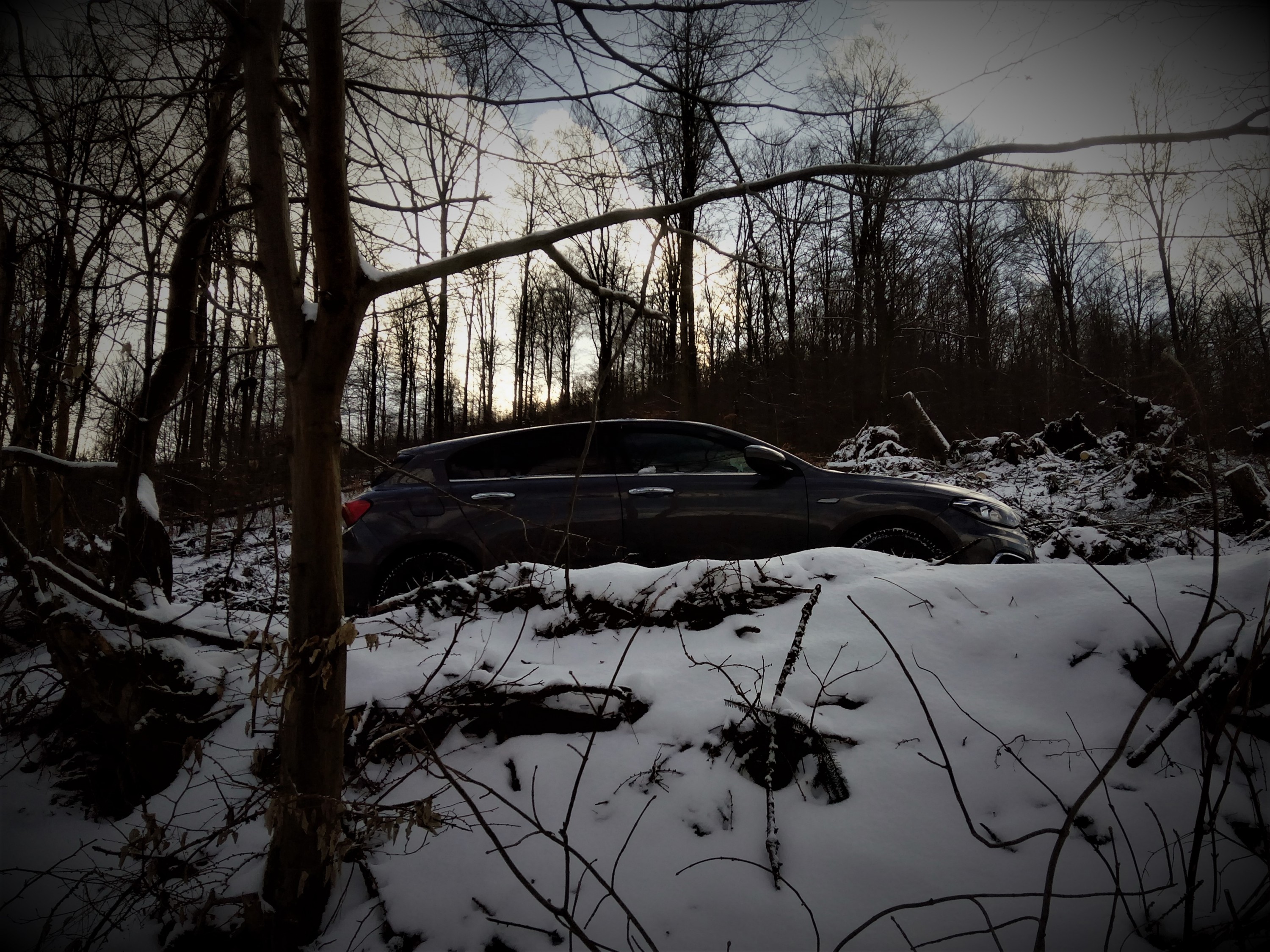 Suchbild Tipo im Tarnmodus