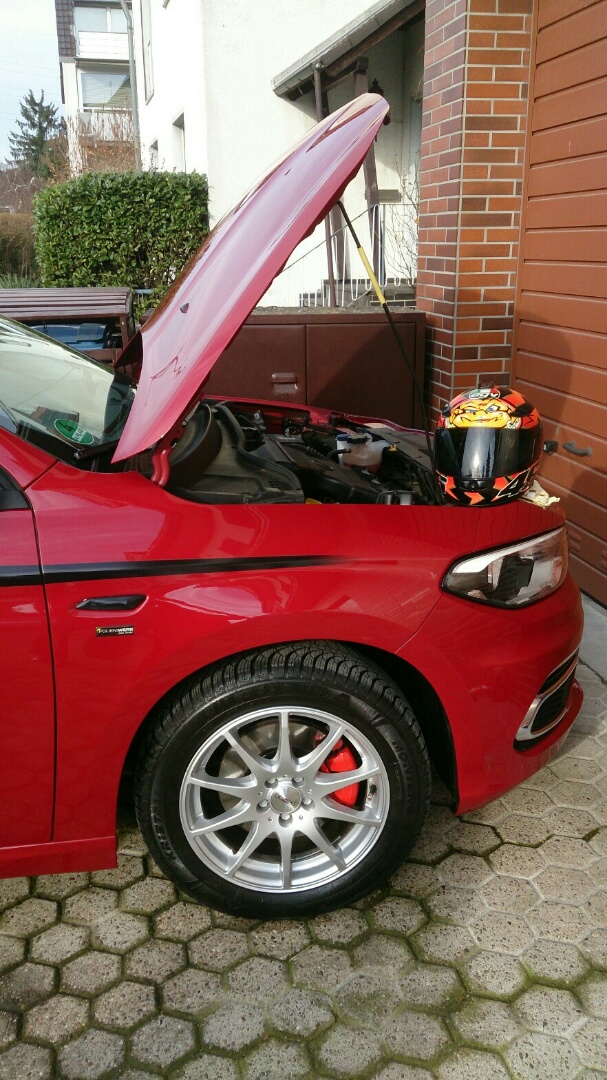 Putztag bei Sonnenschein