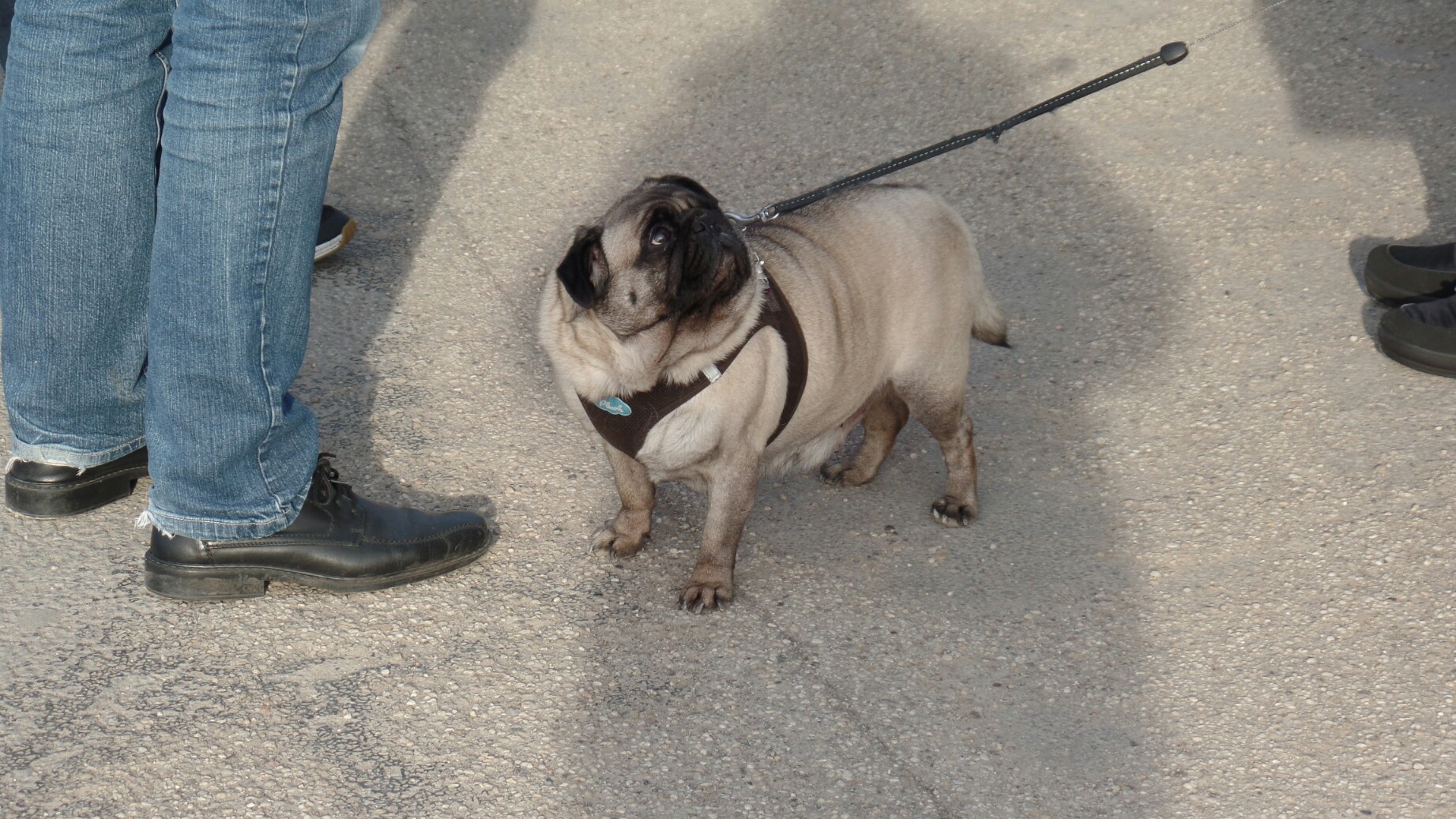 Tipo Treffen an der Classic Remise in Düsseldorf