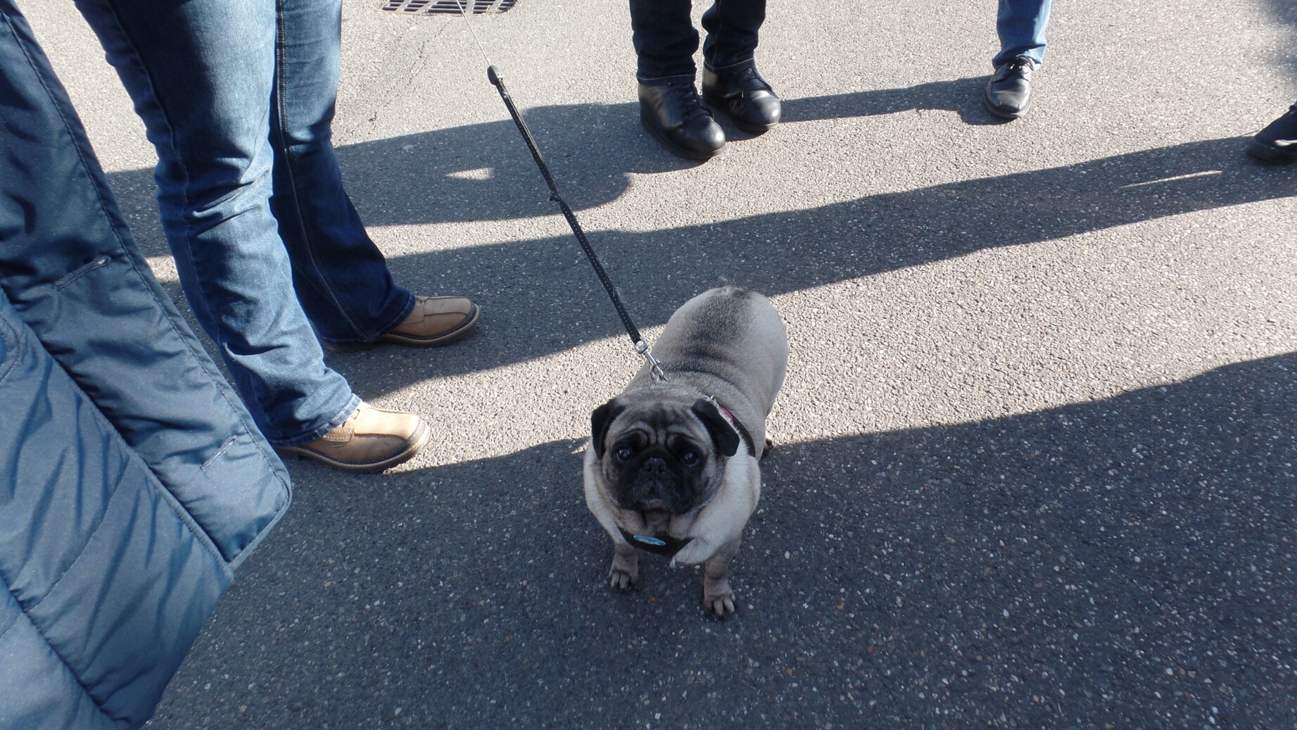 Tipo Treffen an der Classic Remise in Düsseldorf