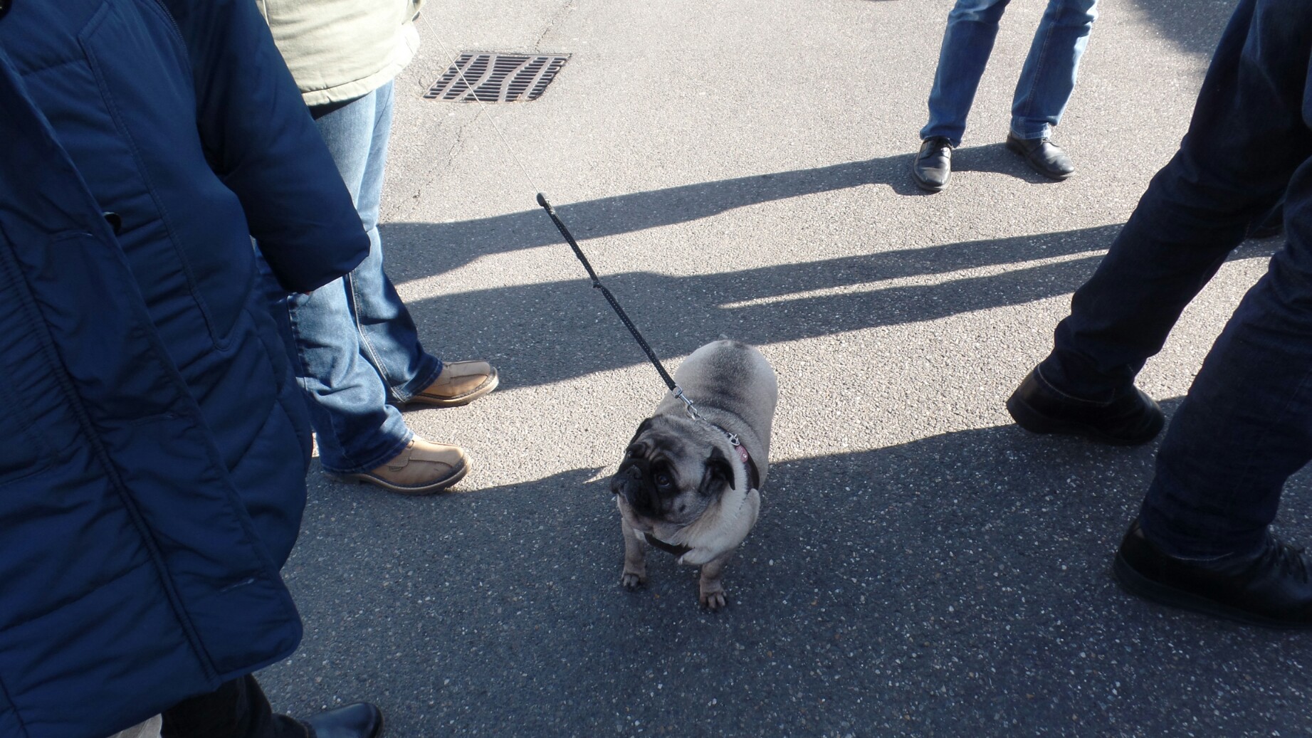 Tipo Treffen an der Classic Remise in Düsseldorf