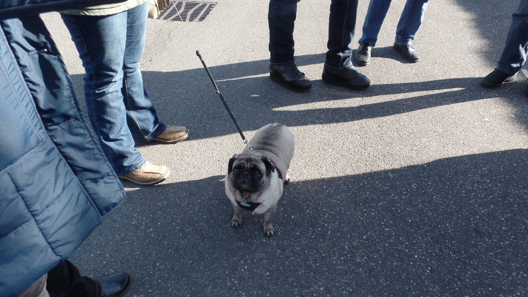 Tipo Treffen an der Classic Remise in Düsseldorf