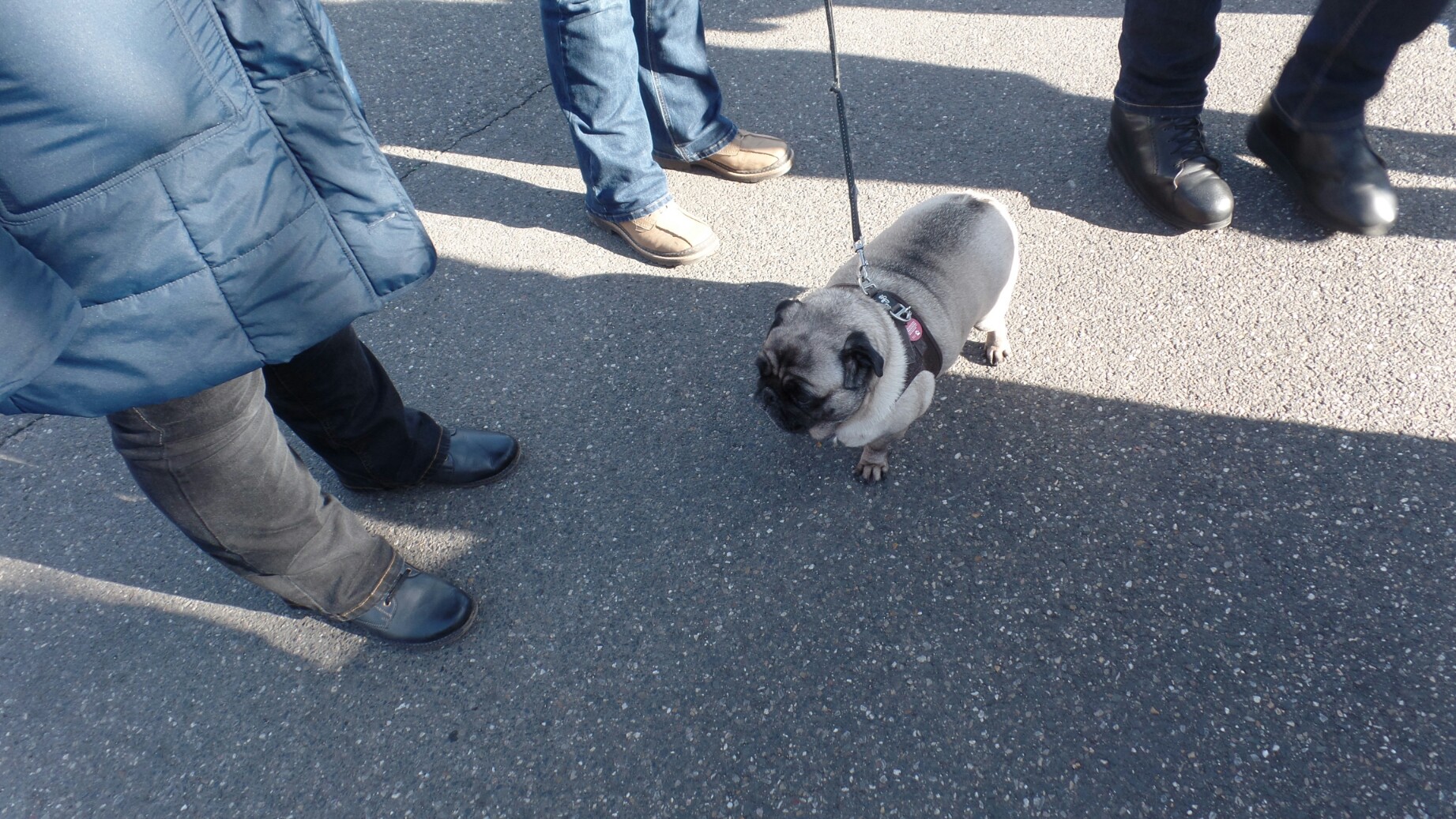 Tipo Treffen an der Classic Remise in Düsseldorf