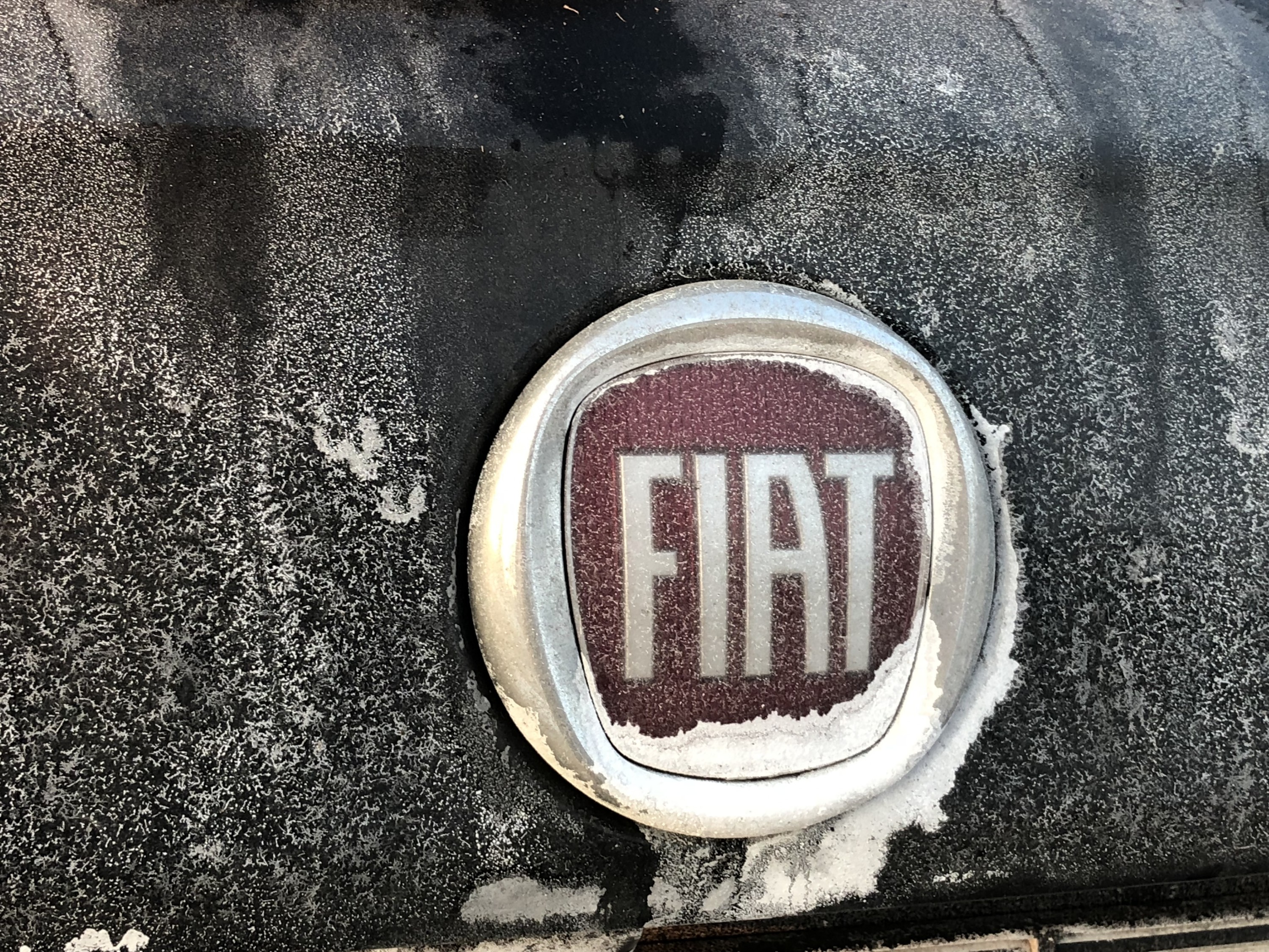 Schwarz-Weiß in Farbe