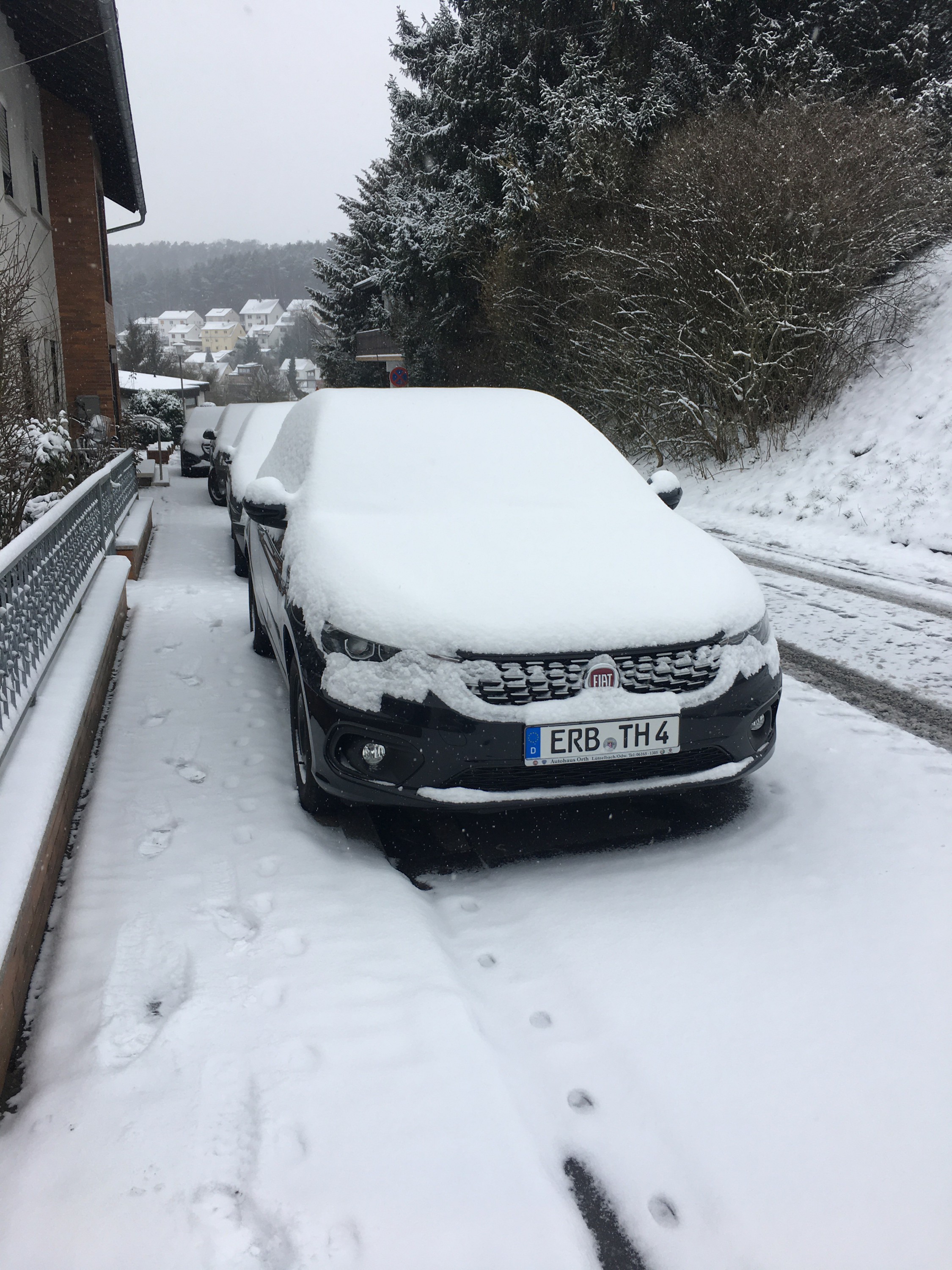 Der erste Frühlingsschnee