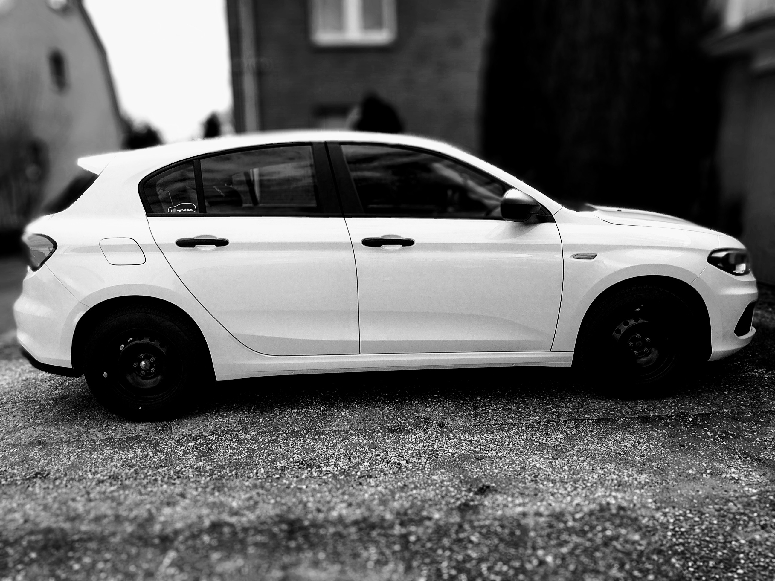 Wieder richtig Sau(Bär) unser Luigi