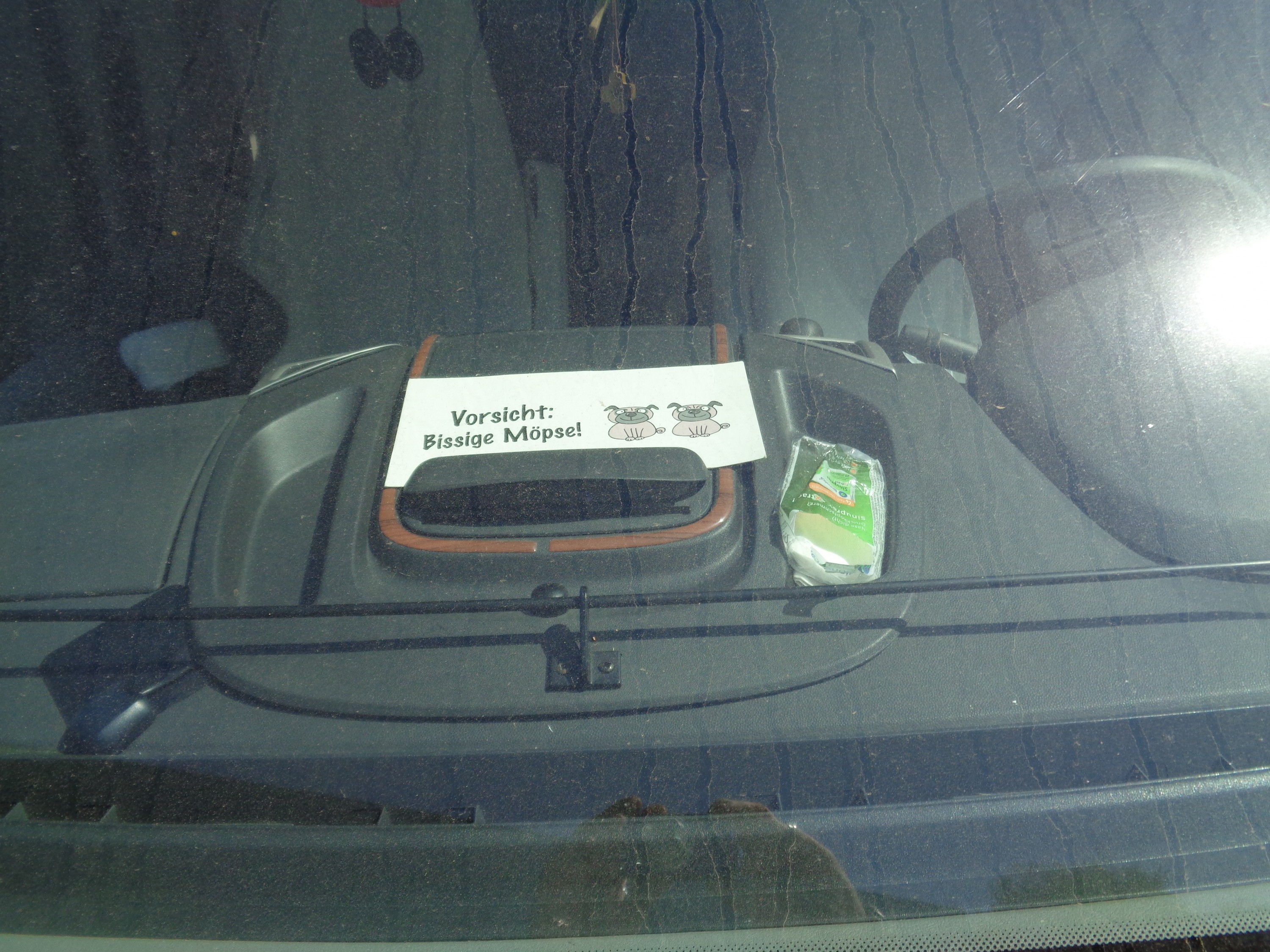 An alle Liebhaber von Möpsen