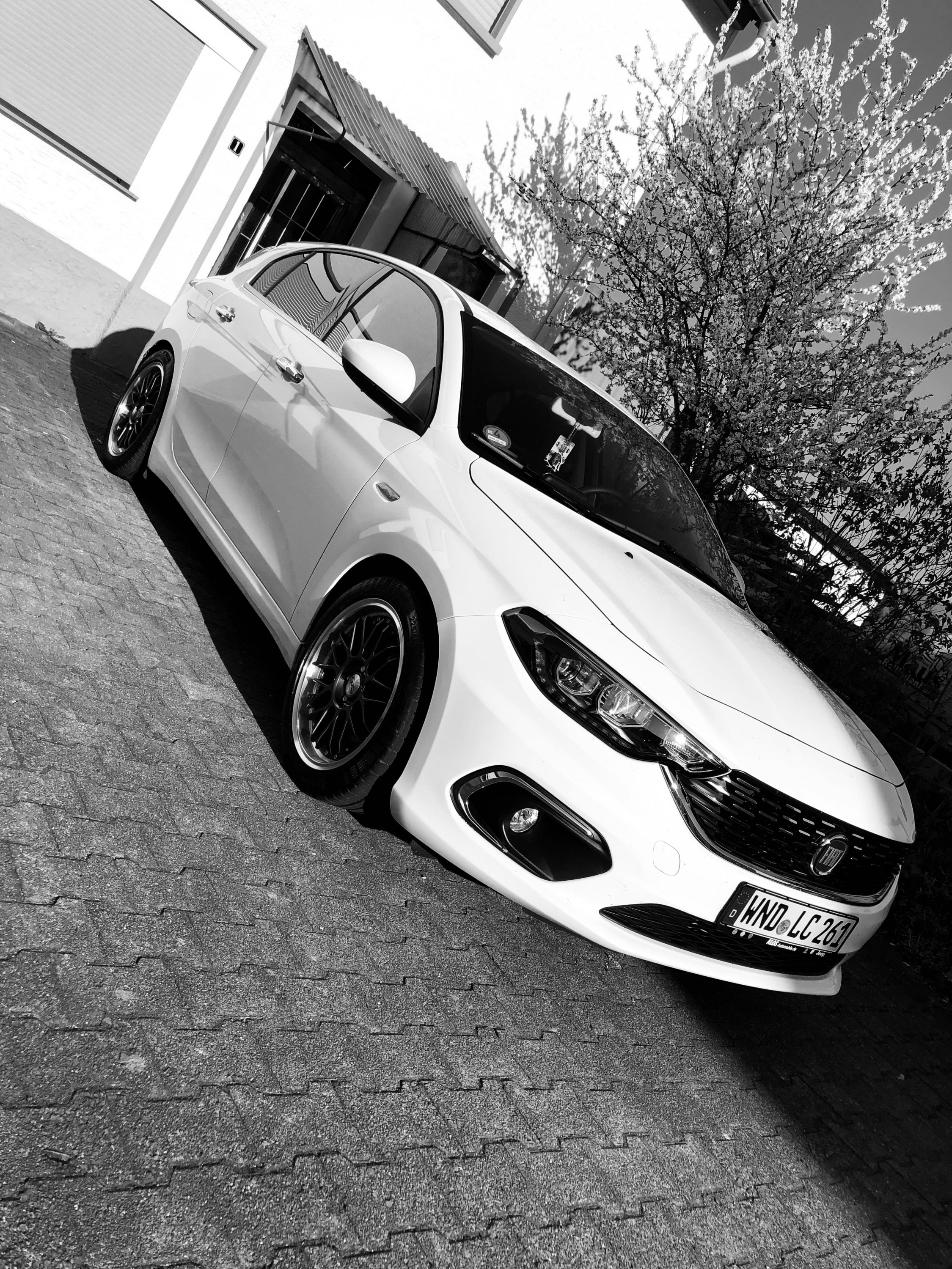 Sommer schwarz weiß