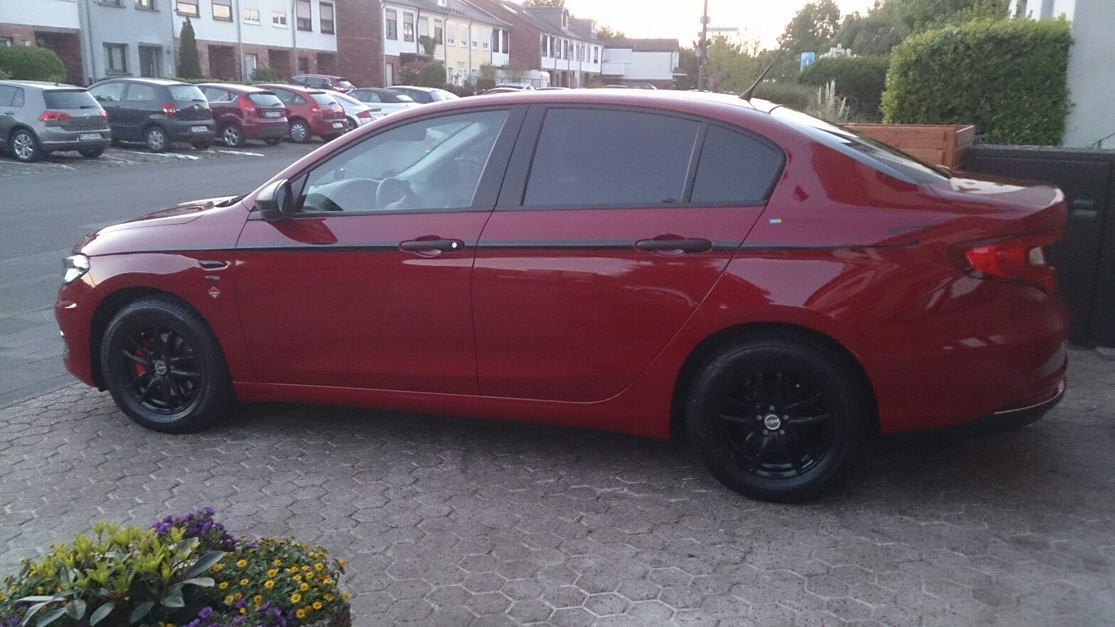 Wehe, da kommt noch ein einziger Pollenkrümel drauf.... wehe!!