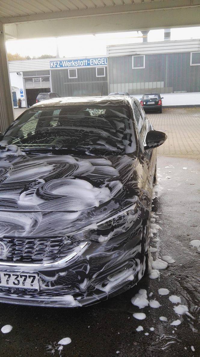 Unser Tipo schäumt vor Wut über den unfairen Crash-Test ;-)