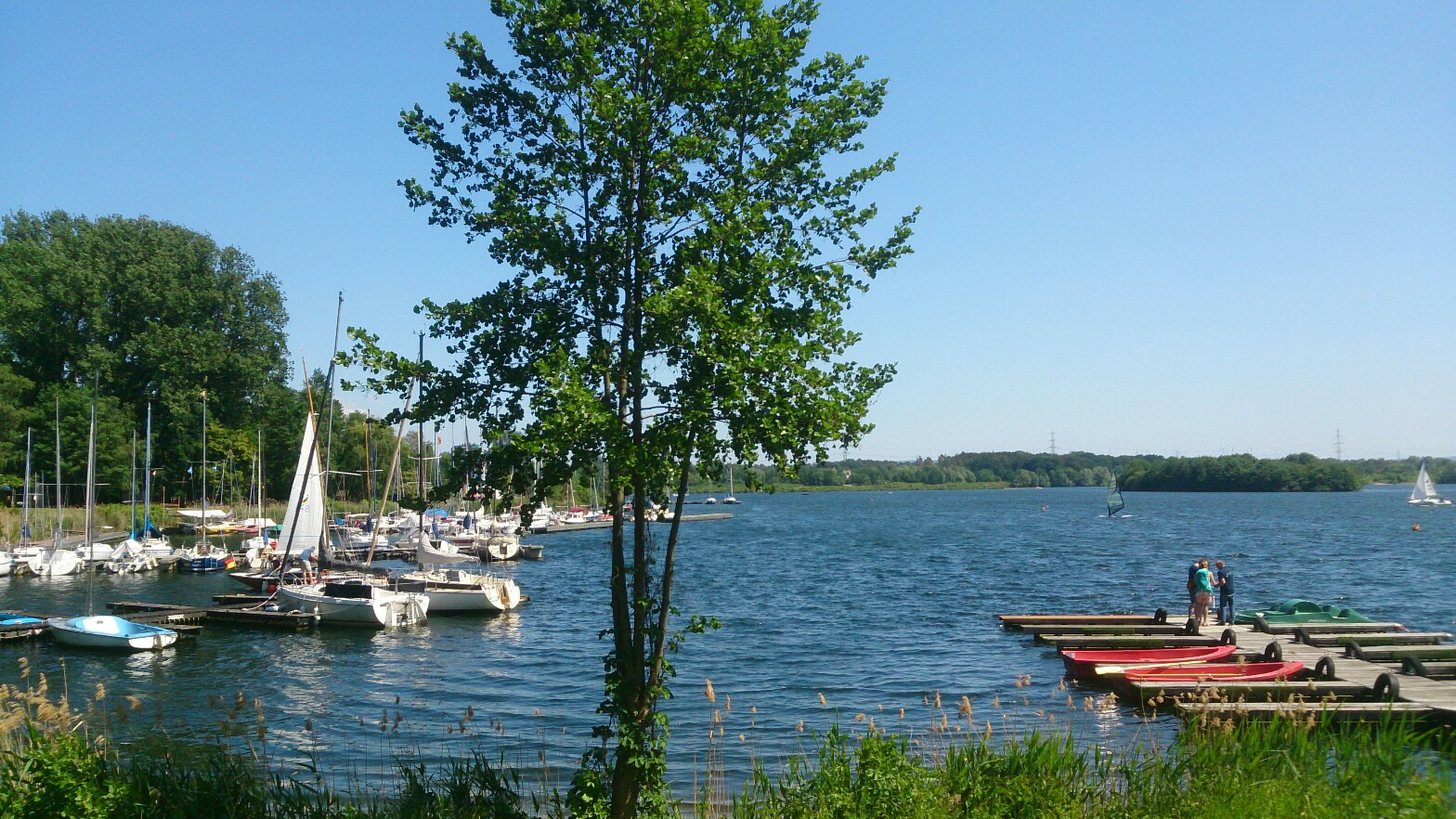 Tipo geniesst Pfingsten