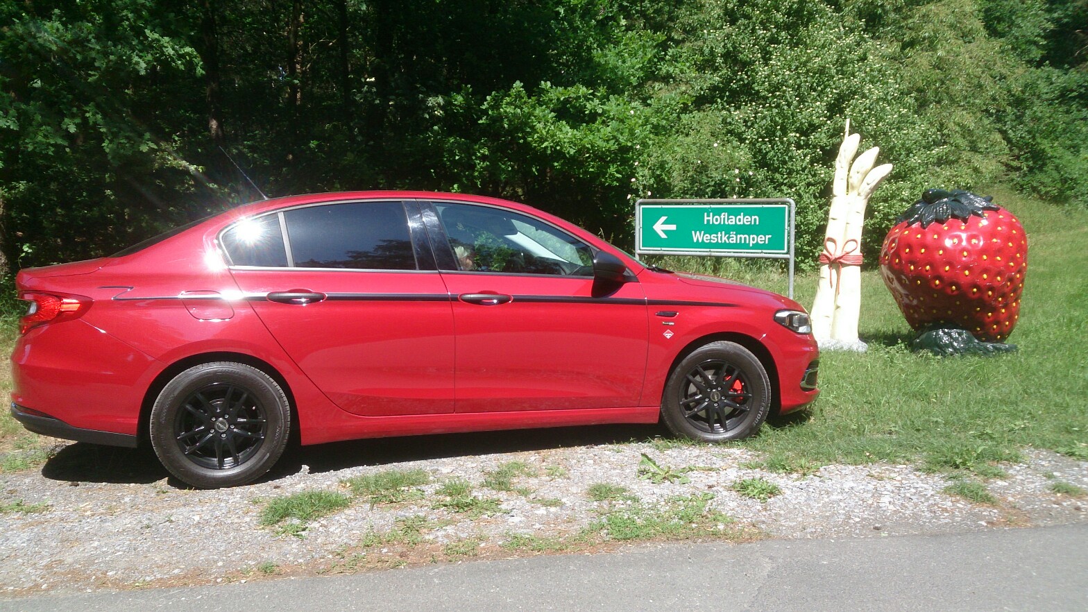 Tipo geniesst Pfingsten