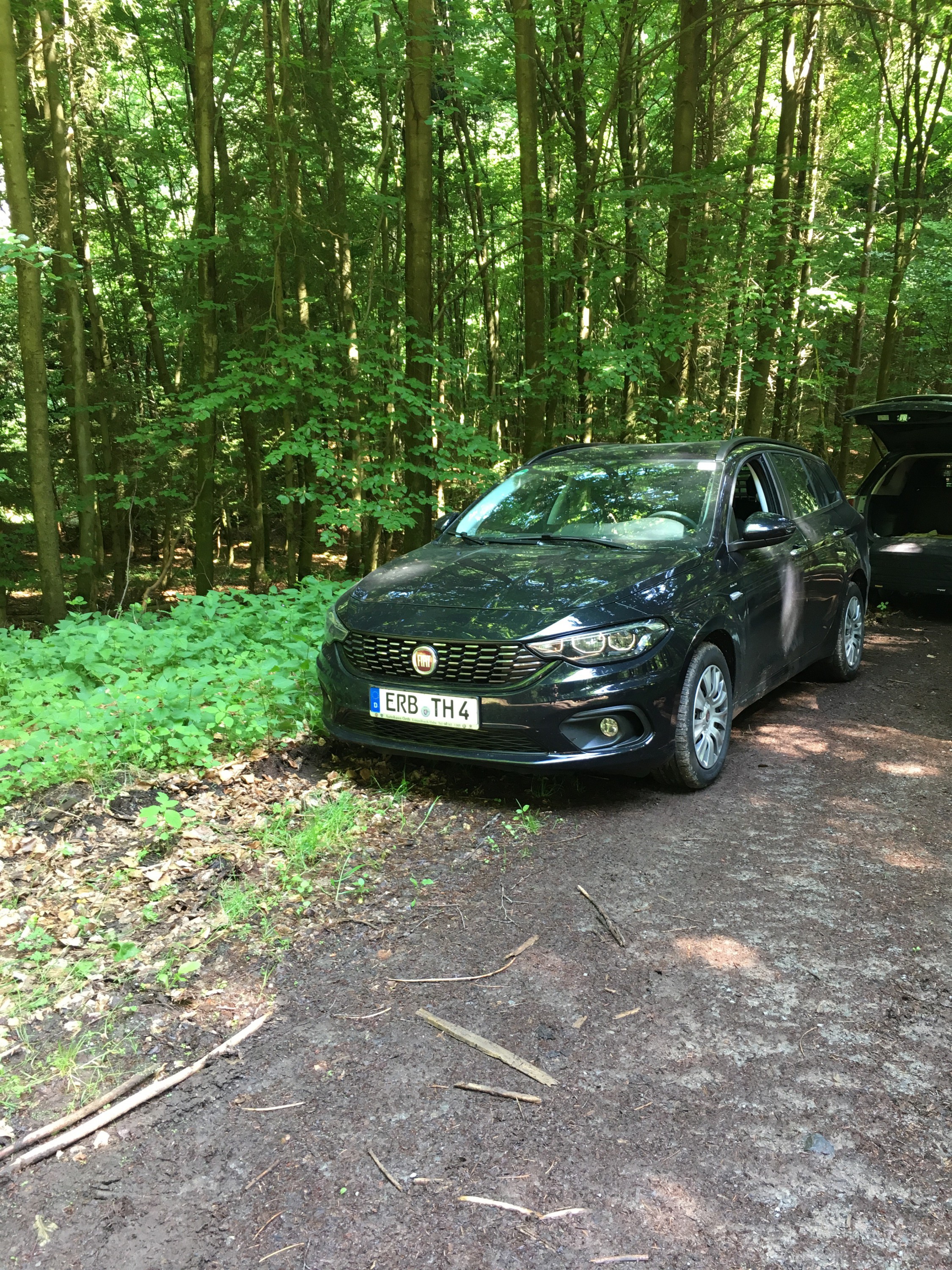 Ein Tipo steht im Walde.......