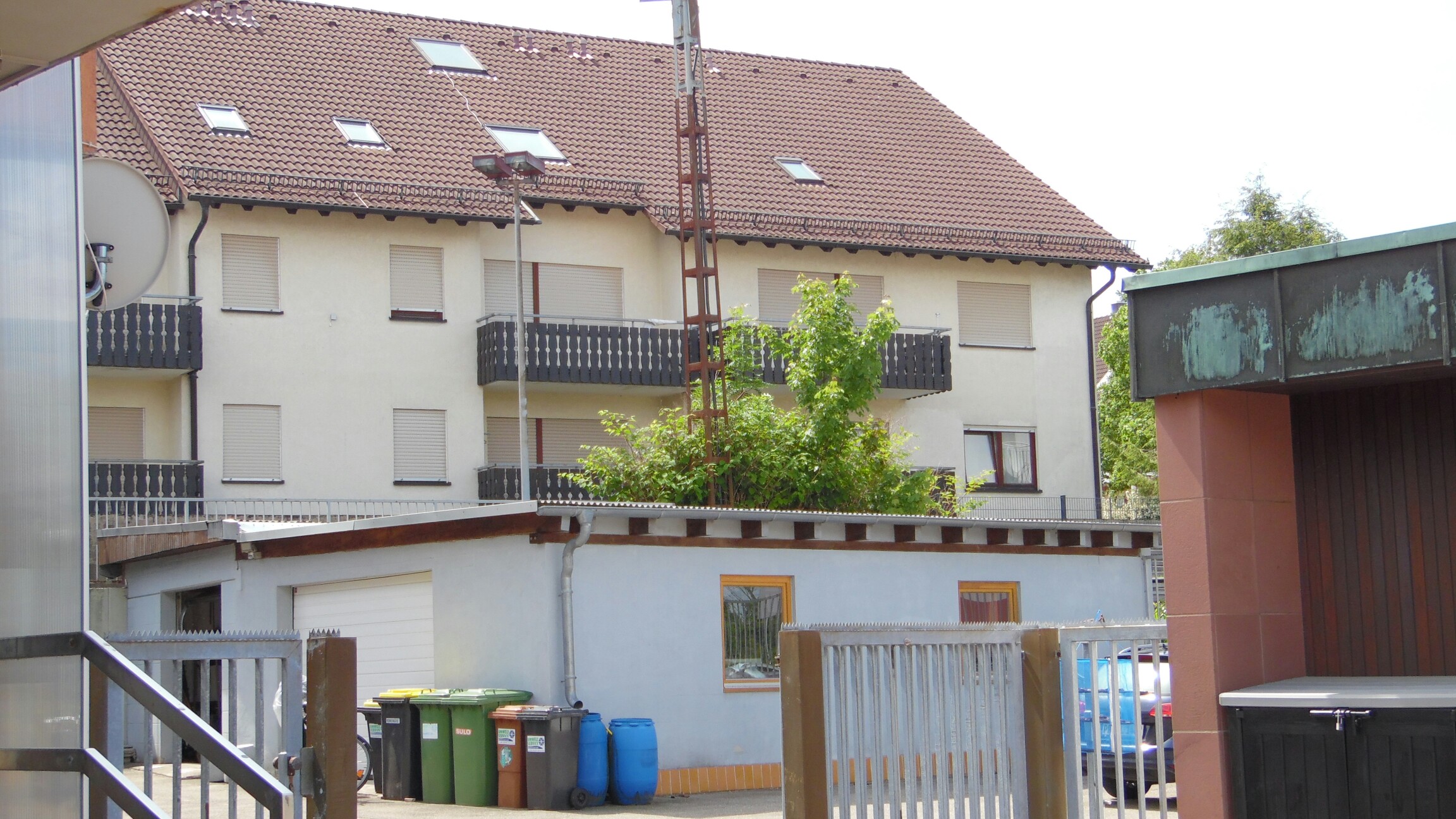 Tour de Schwarzwald Team Tipo Forum