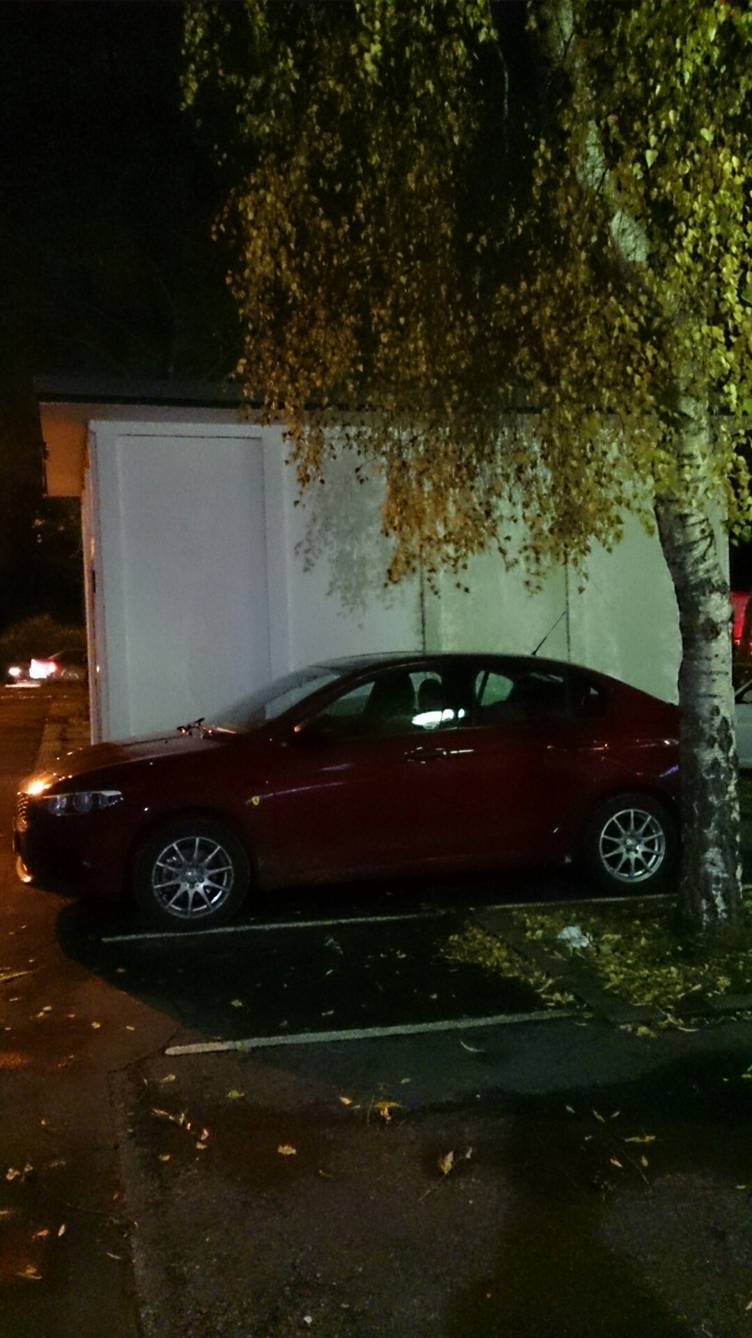 Stellplatz unter Herbstlaub