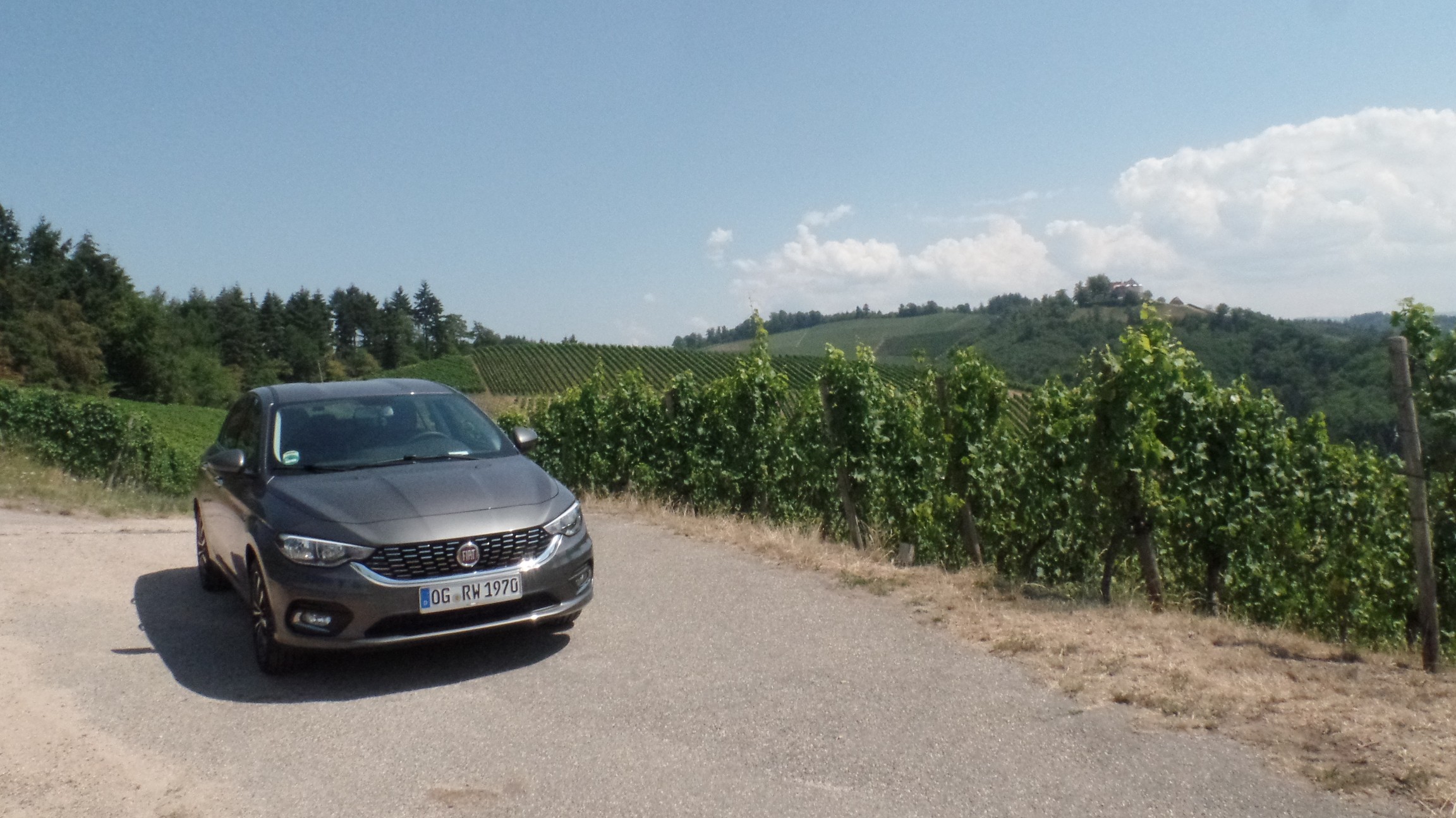 Der Tipo und die Weinberge über Durbach