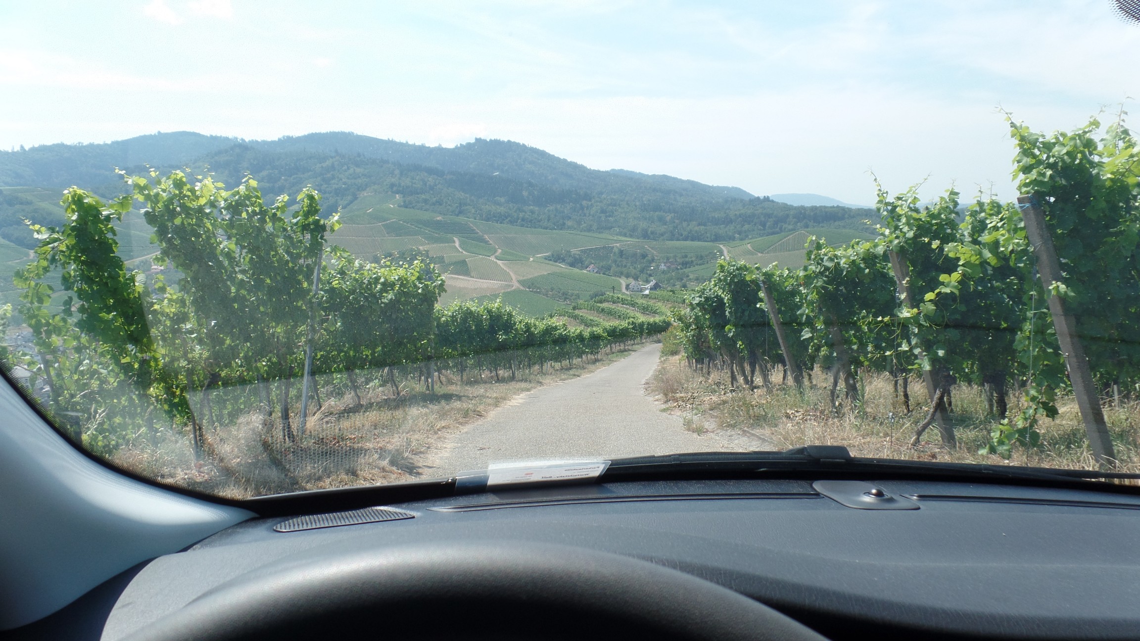 Der Tipo und die Weinberge über Durbach