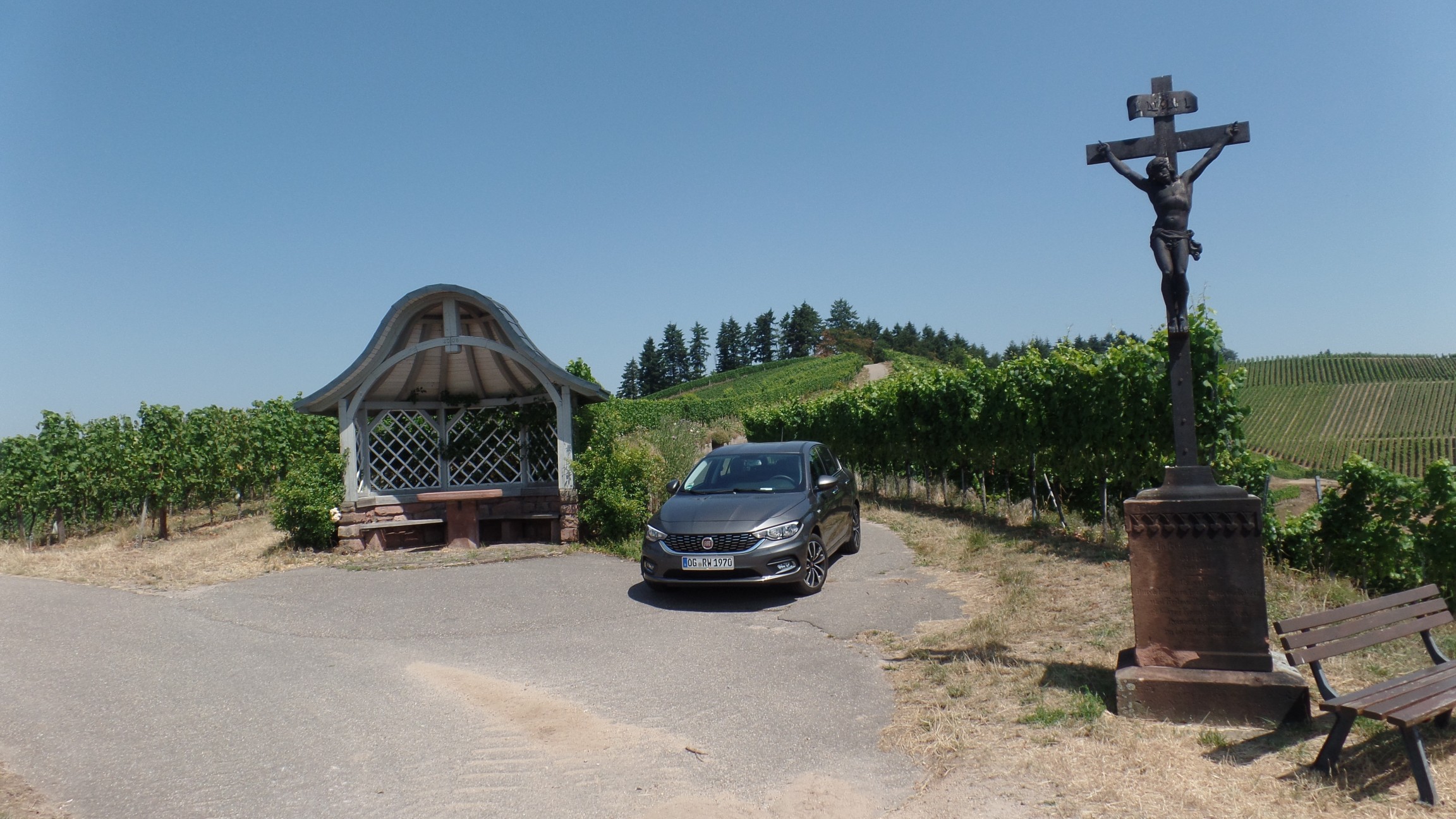 Der Tipo und die Weinberge über Durbach