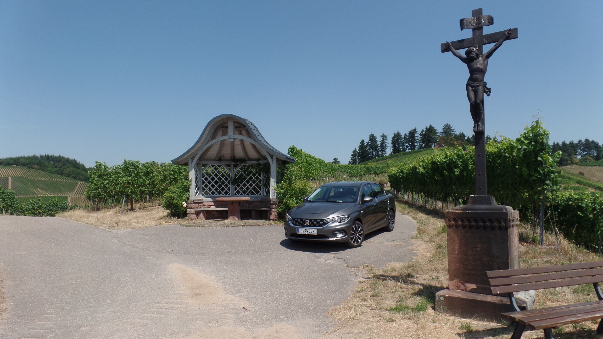 Der Tipo und die Weinberge über Durbach