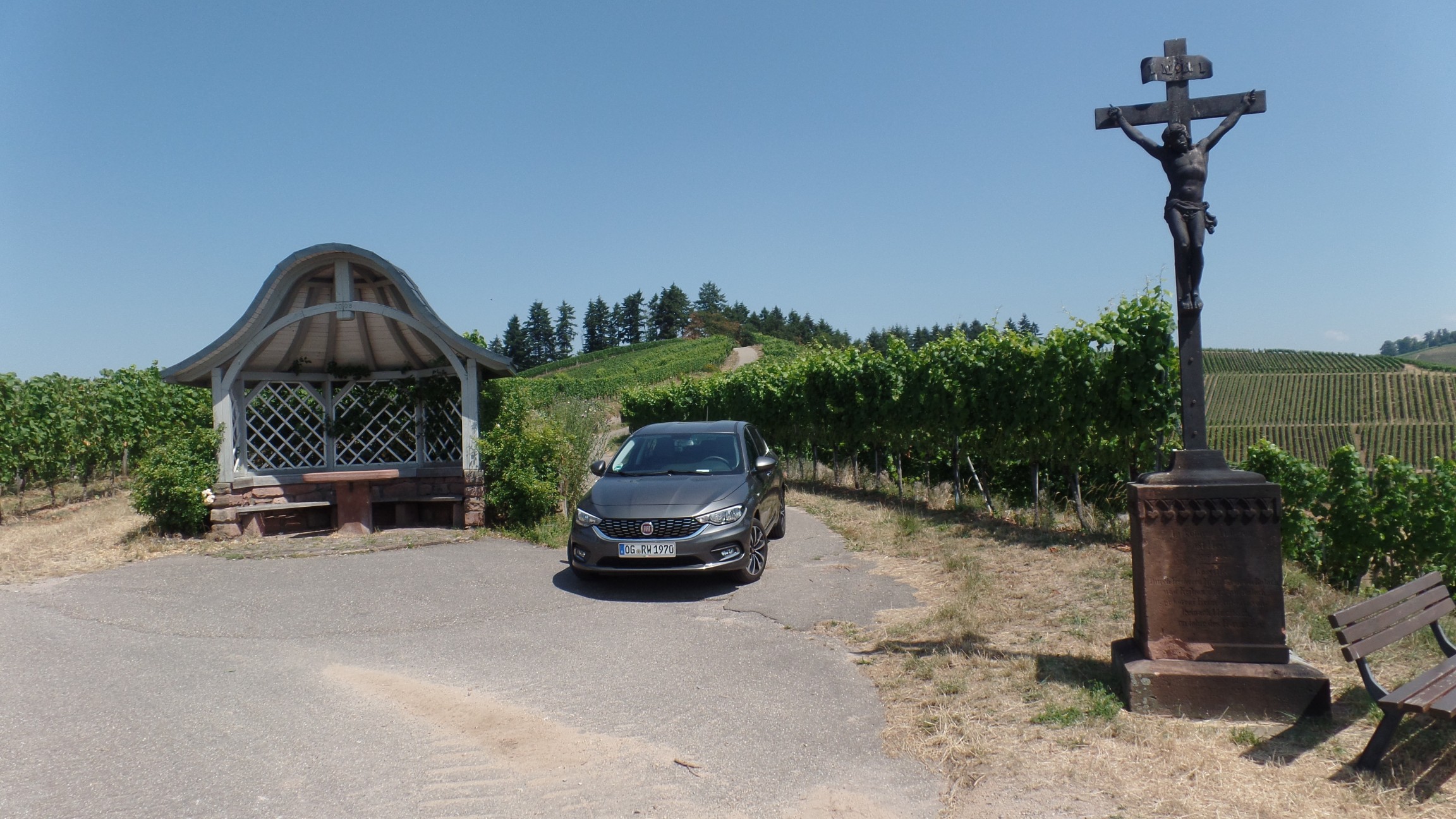 Der Tipo und die Weinberge über Durbach