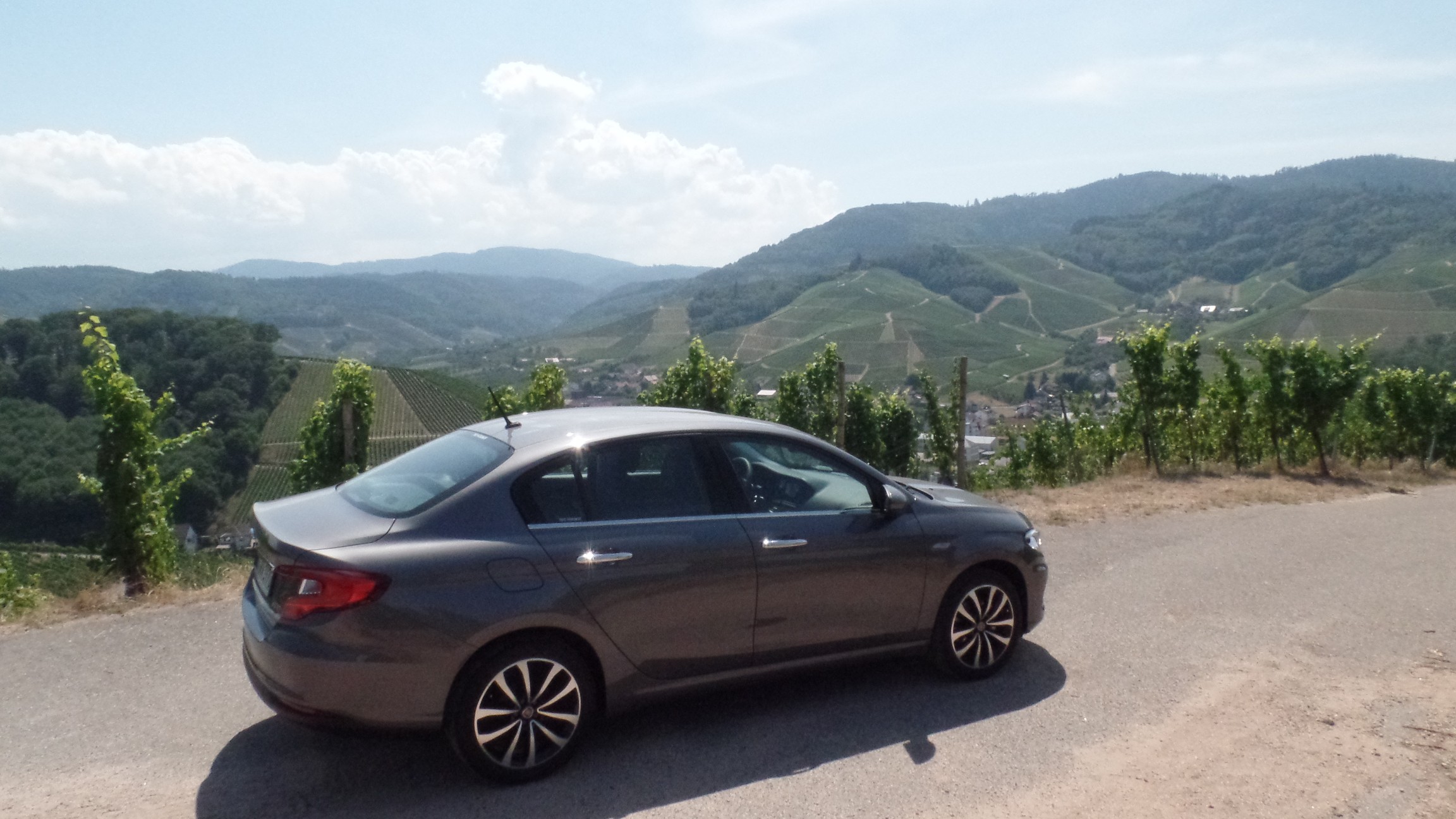 Der Tipo und die Weinberge über Durbach