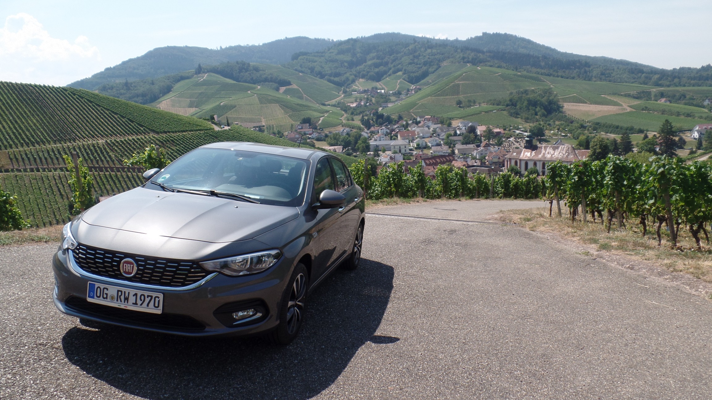 Der Tipo und die Weinberge über Durbach